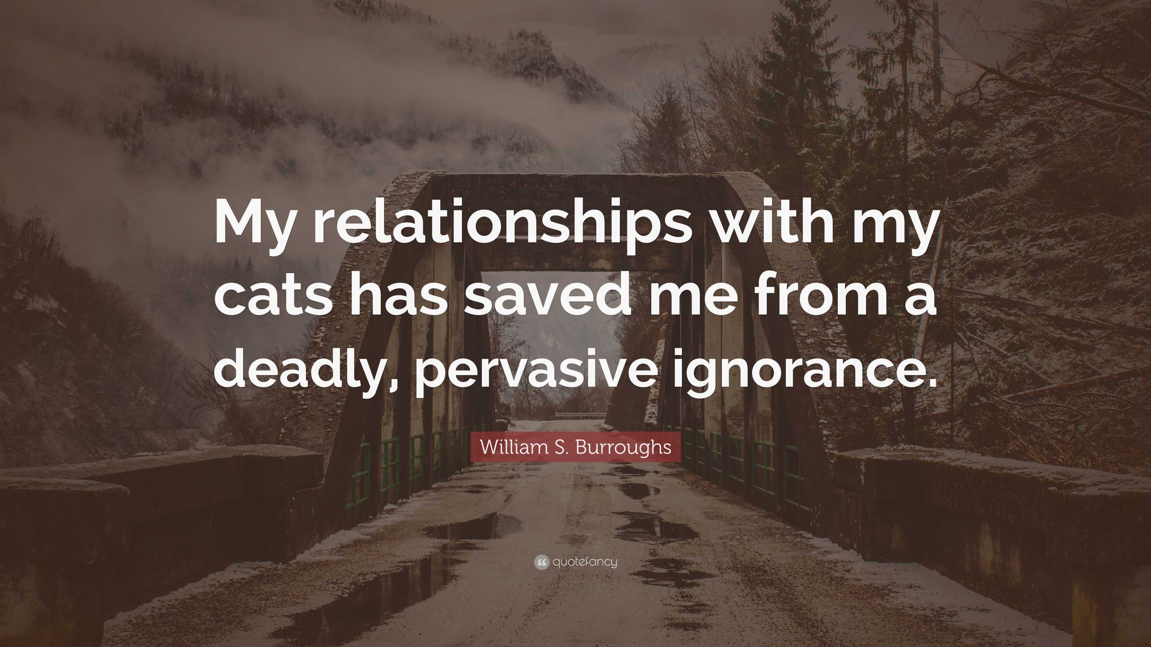 William S. Burroughs Quote: “My relationships with my cats has saved me ...