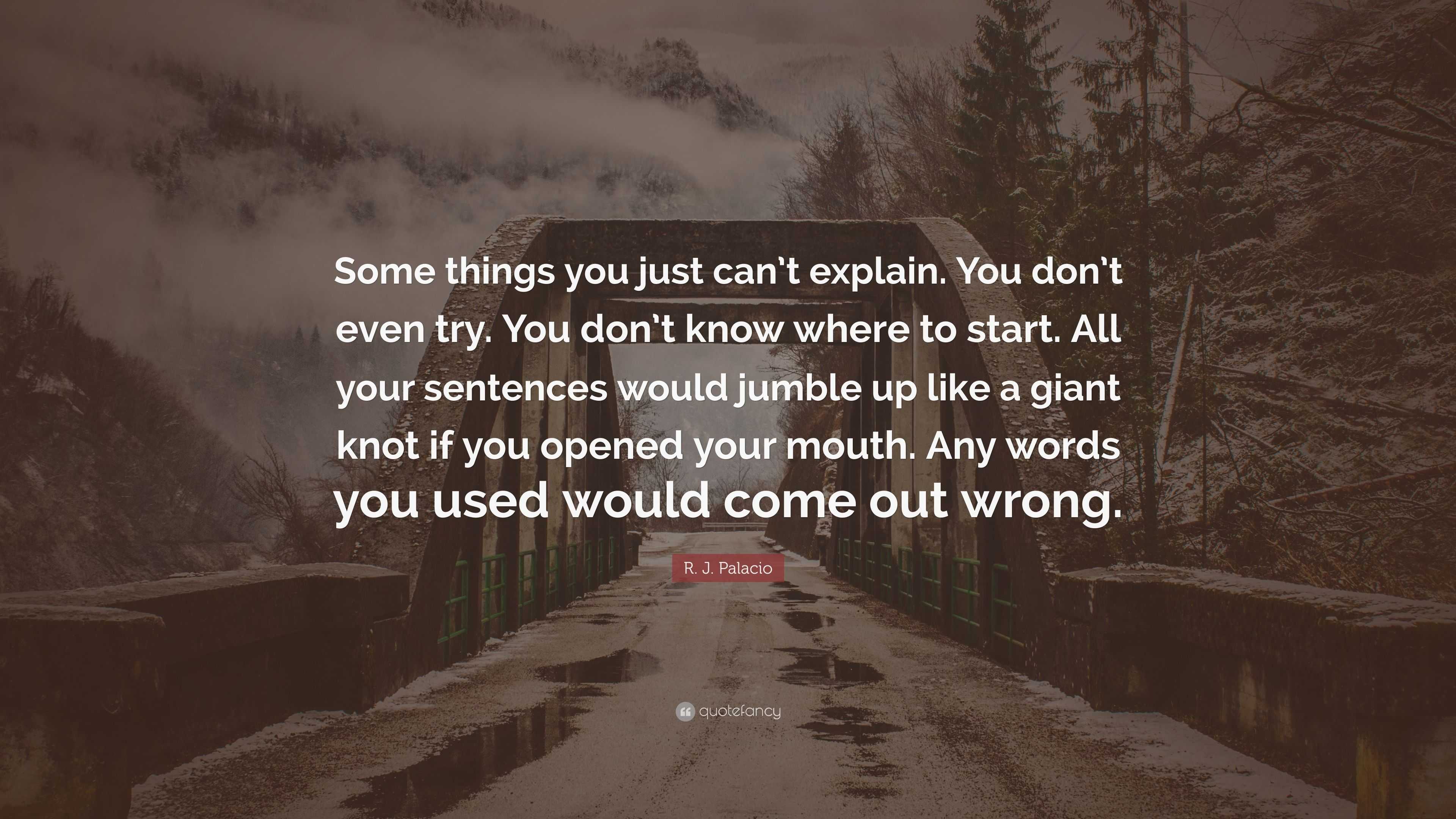 R J Palacio Quote Some Things You Just Can T Explain You Don T Even Try You Don T Know Where To Start All Your Sentences Would Jumble U