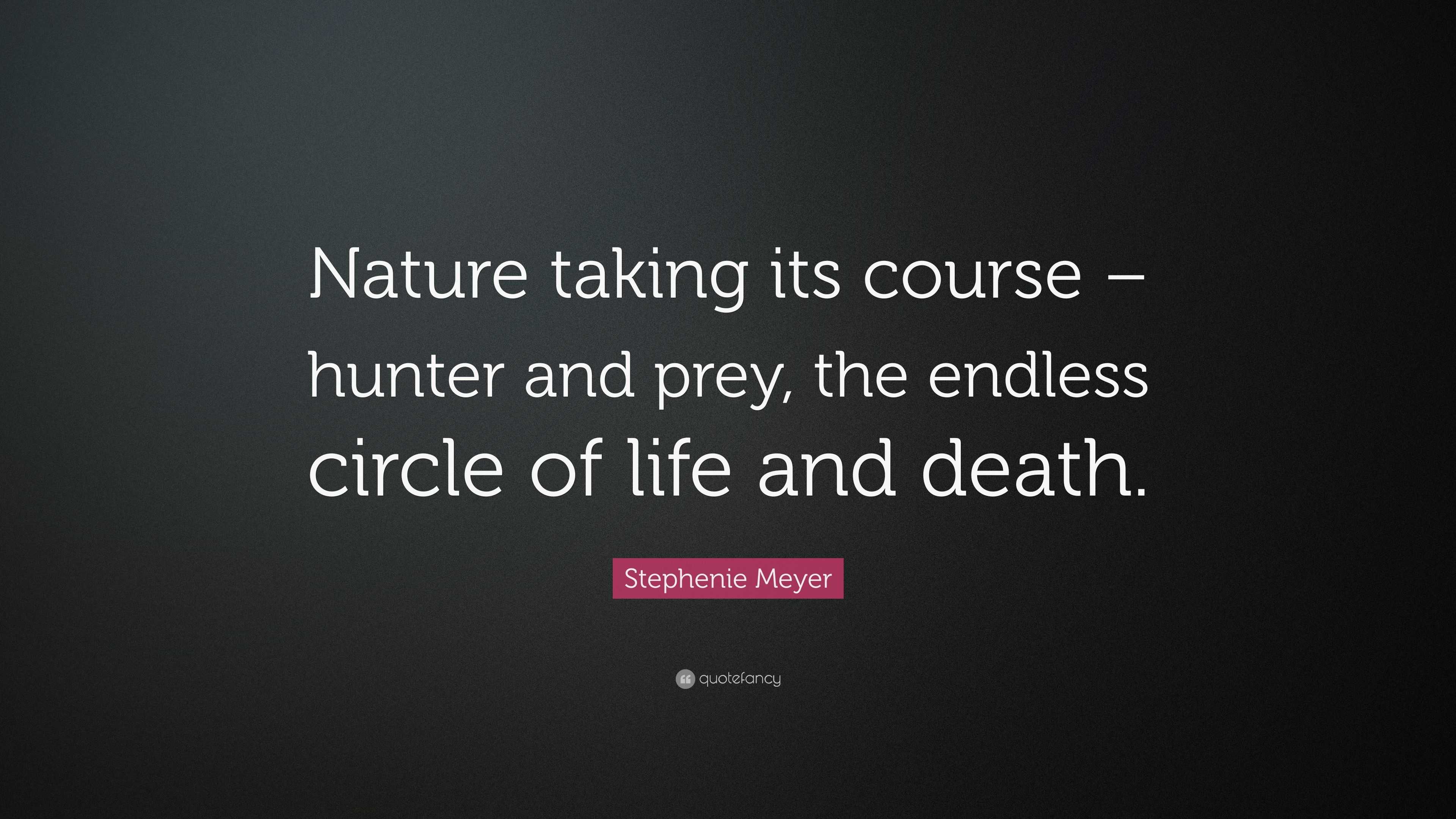 Stephenie Meyer Quote “Nature taking its course – hunter and prey the endless