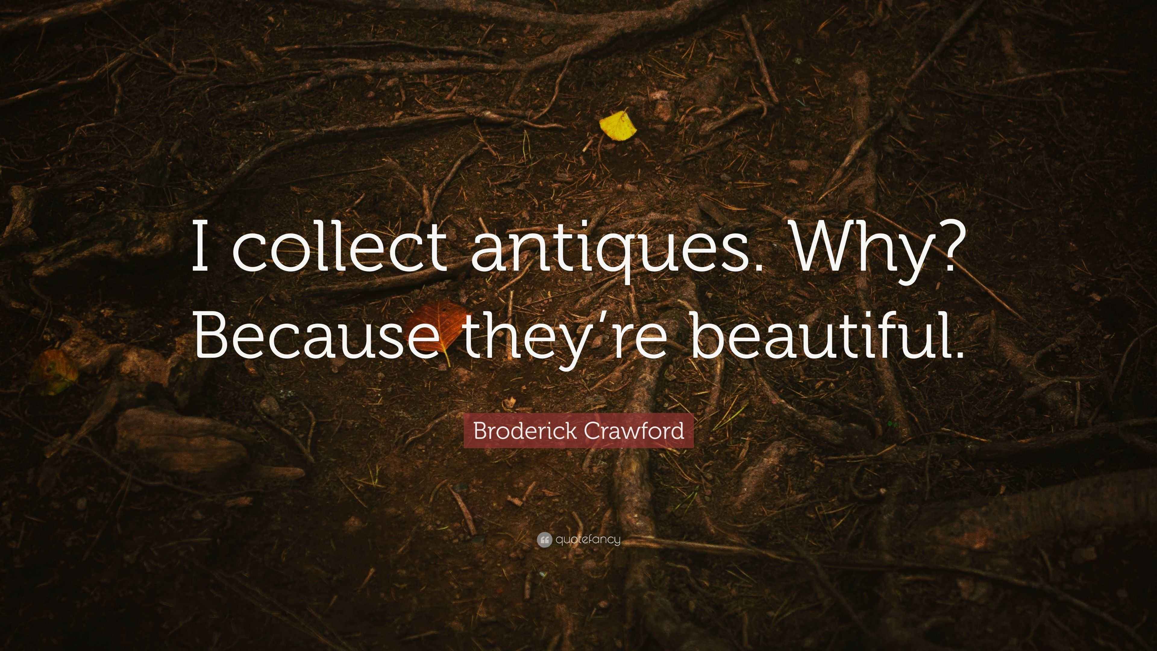 Broderick Crawford Quote “I collect antiques. Why? Because they’re