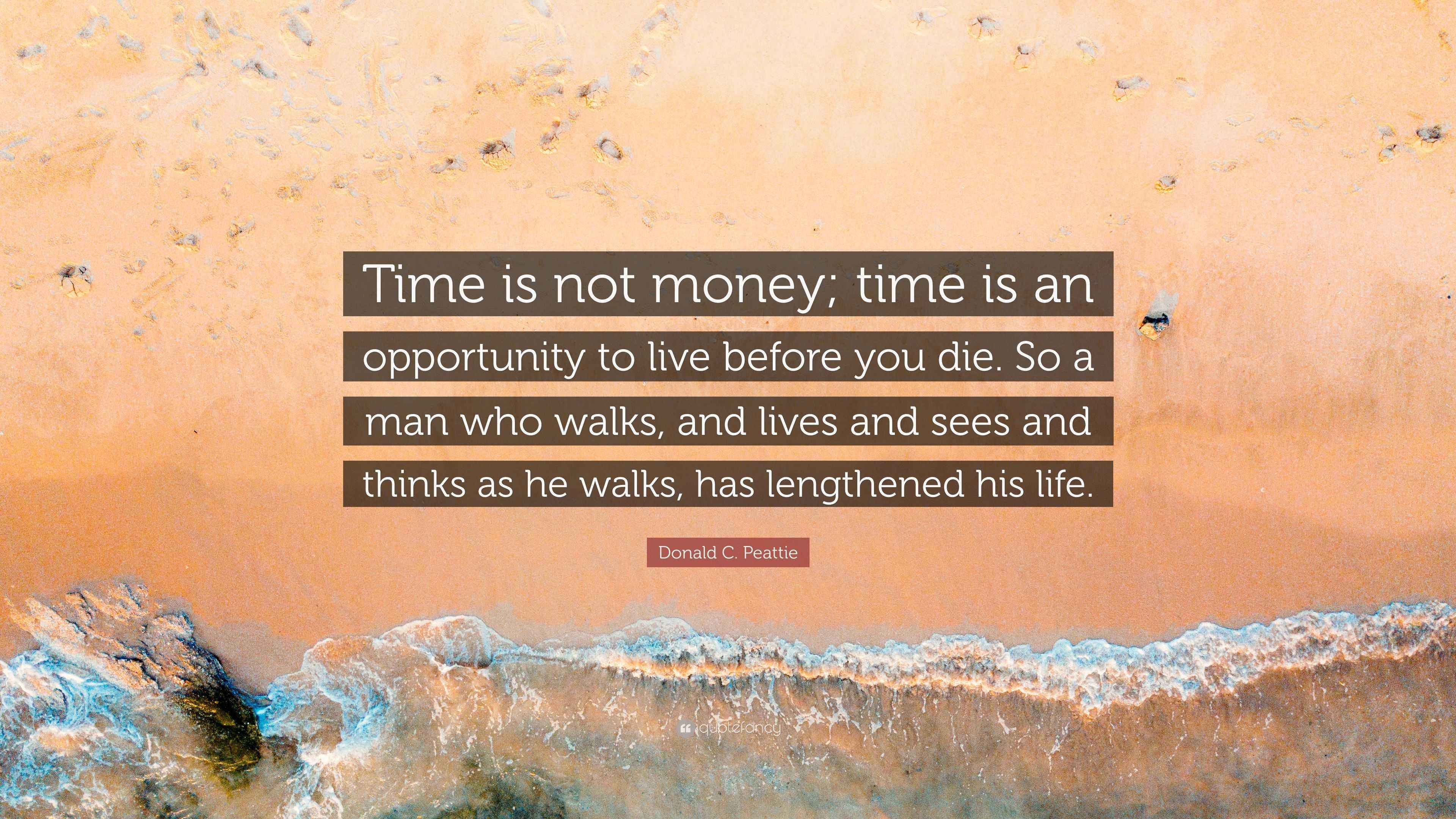 Donald C. Peattie Quote “Time is not money; time is an opportunity to