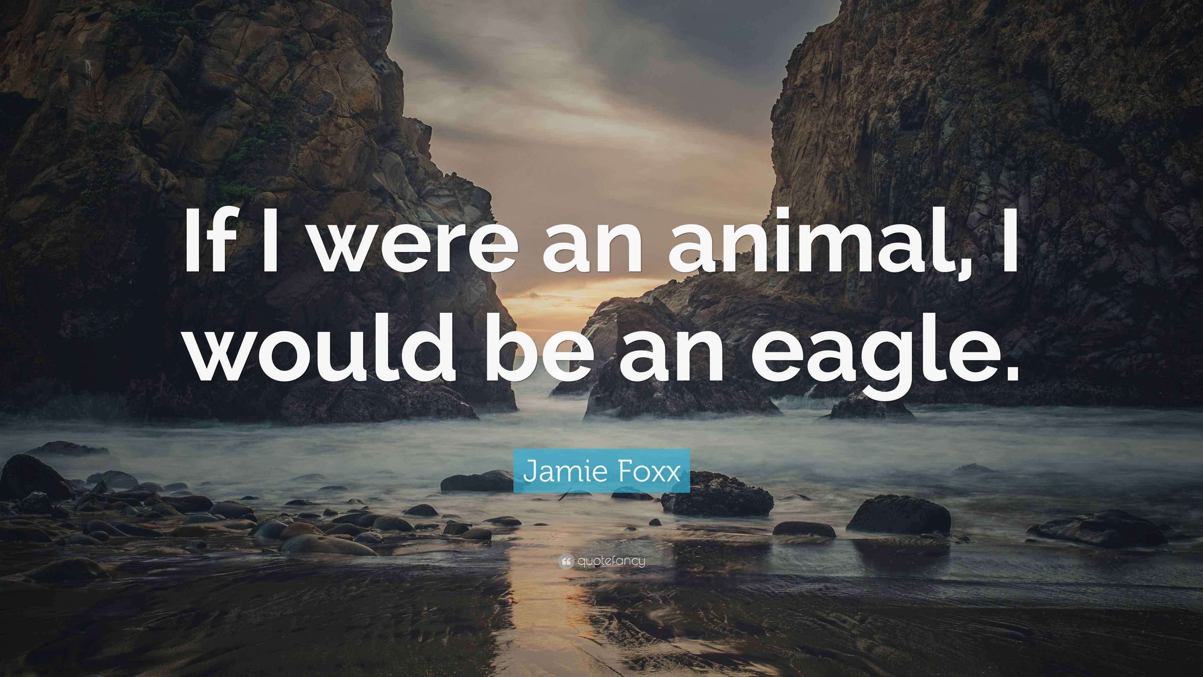 Jamie Foxx Quote “If I were an animal, I would be an eagle.”