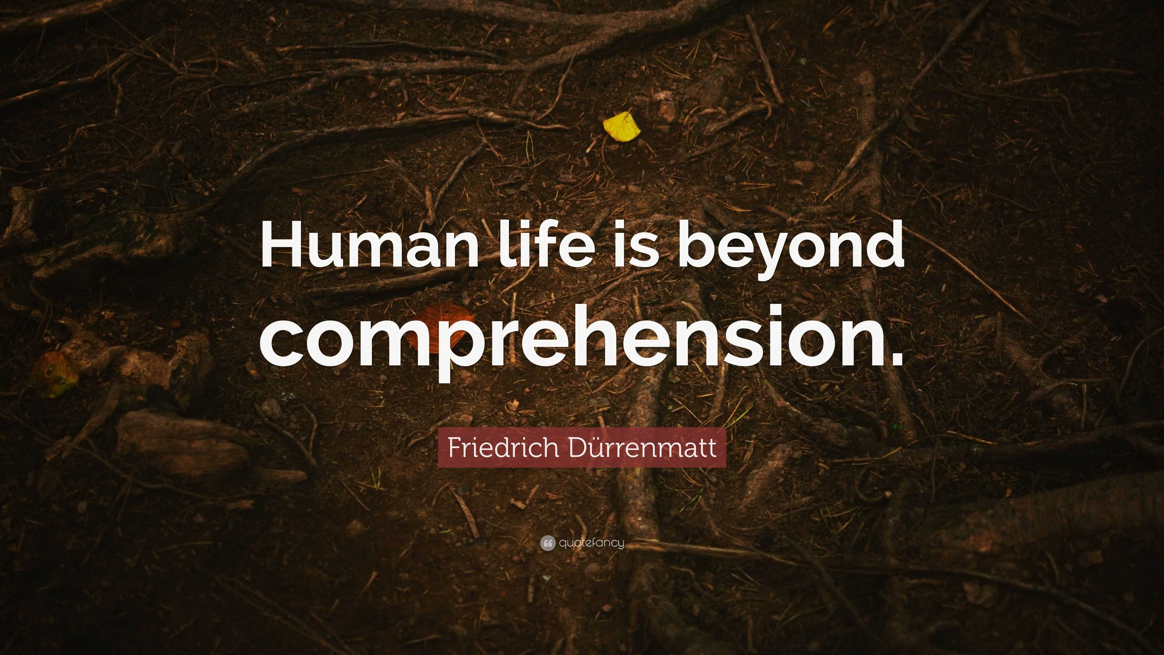 Friedrich Dürrenmatt Quote “human Life Is Beyond Comprehension” 0133