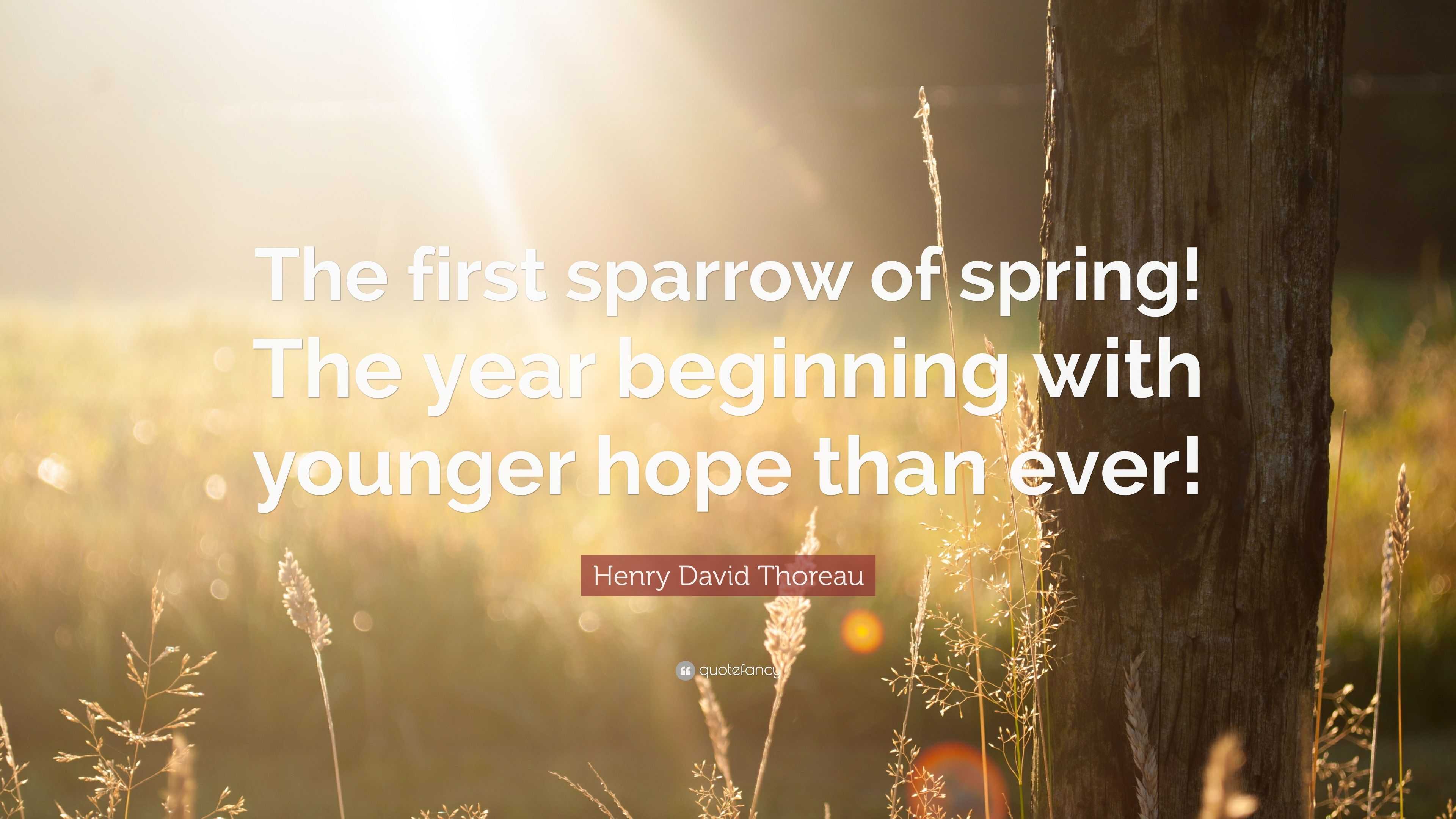 Henry David Thoreau Quote: “The first sparrow of spring! The year ...