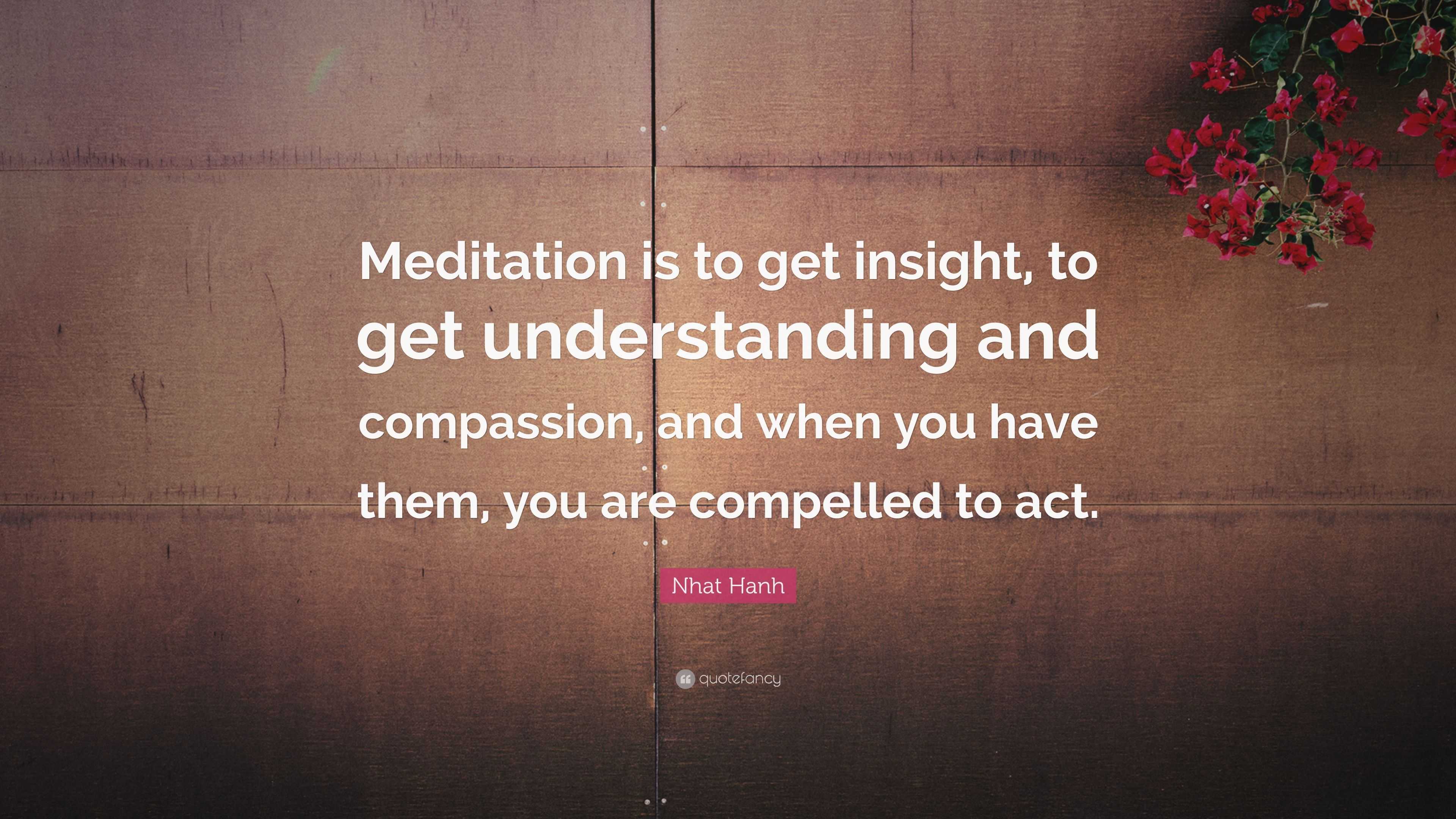 Nhat Hanh Quote: “Meditation is to get insight, to get understanding ...