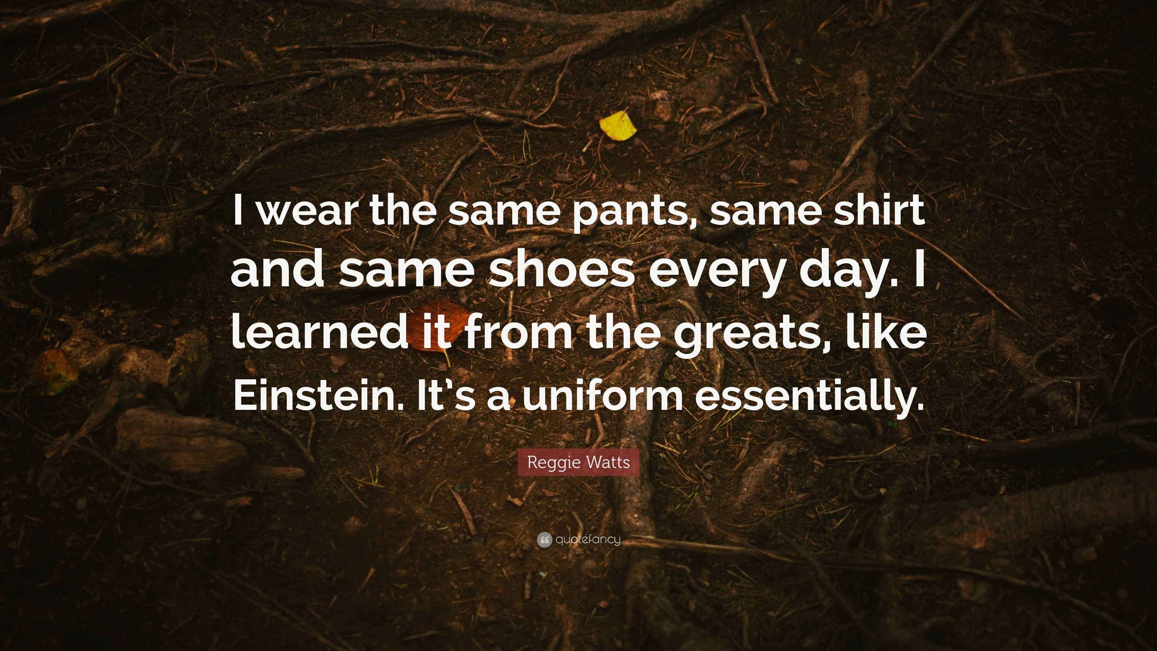 Reggie Watts Quote “I wear the same pants, same shirt and same shoes