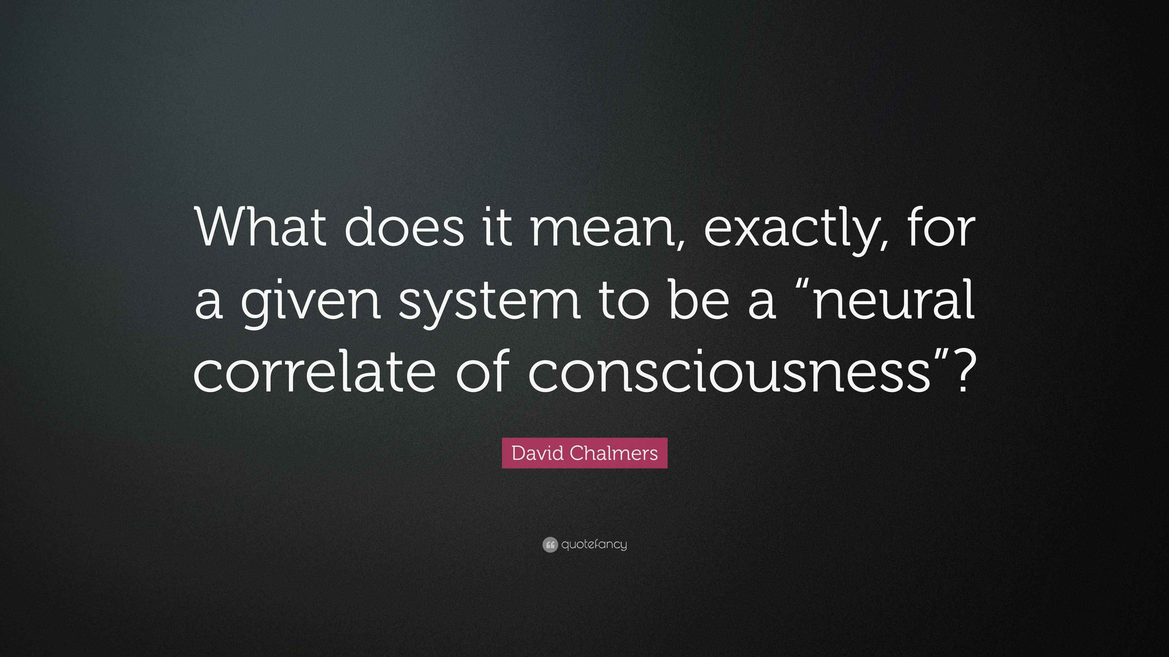 David Chalmers Quote “What does it mean, exactly, for a given system