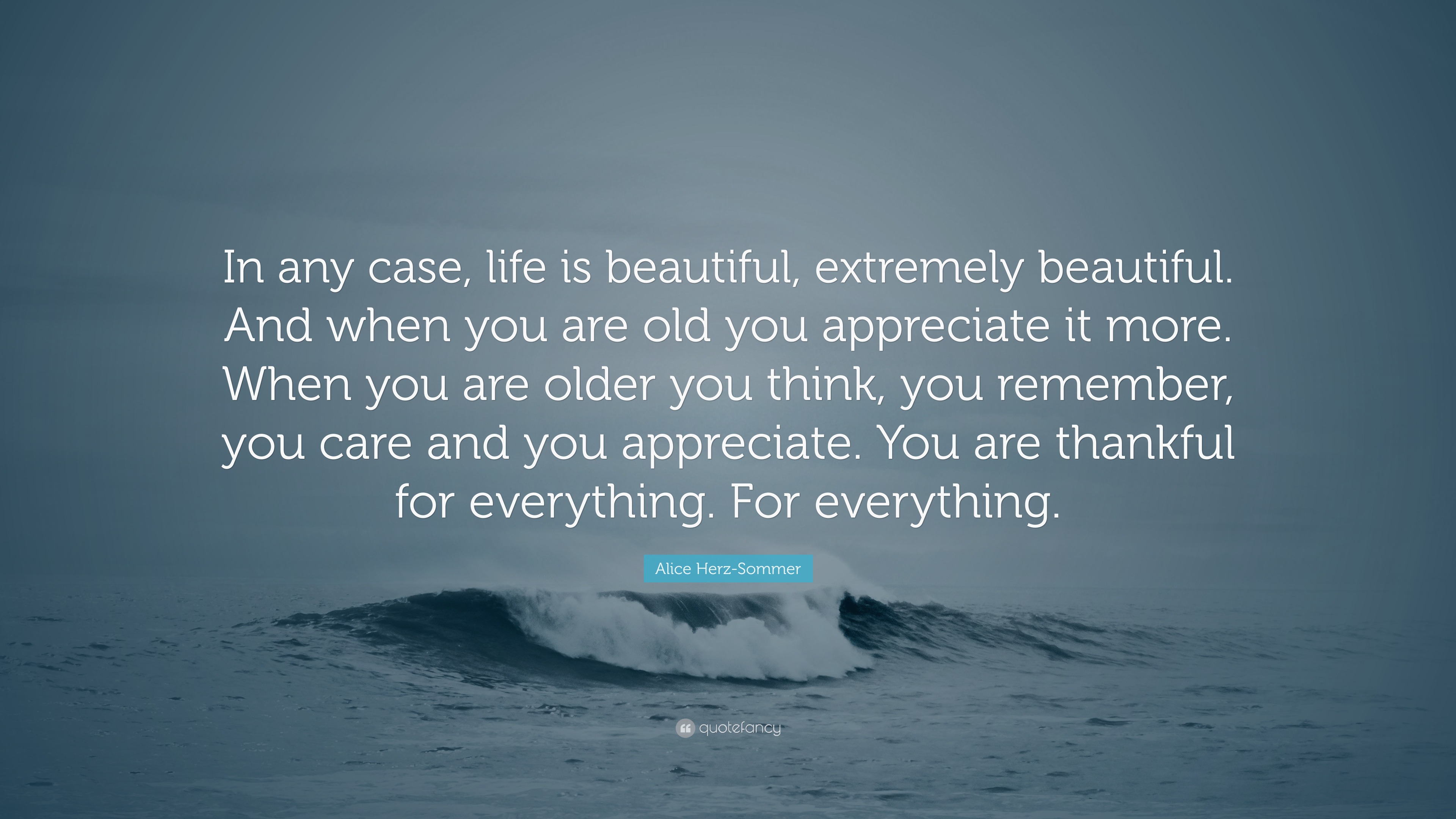 Alice Herz Sommer Quote “In any case life is beautiful extremely