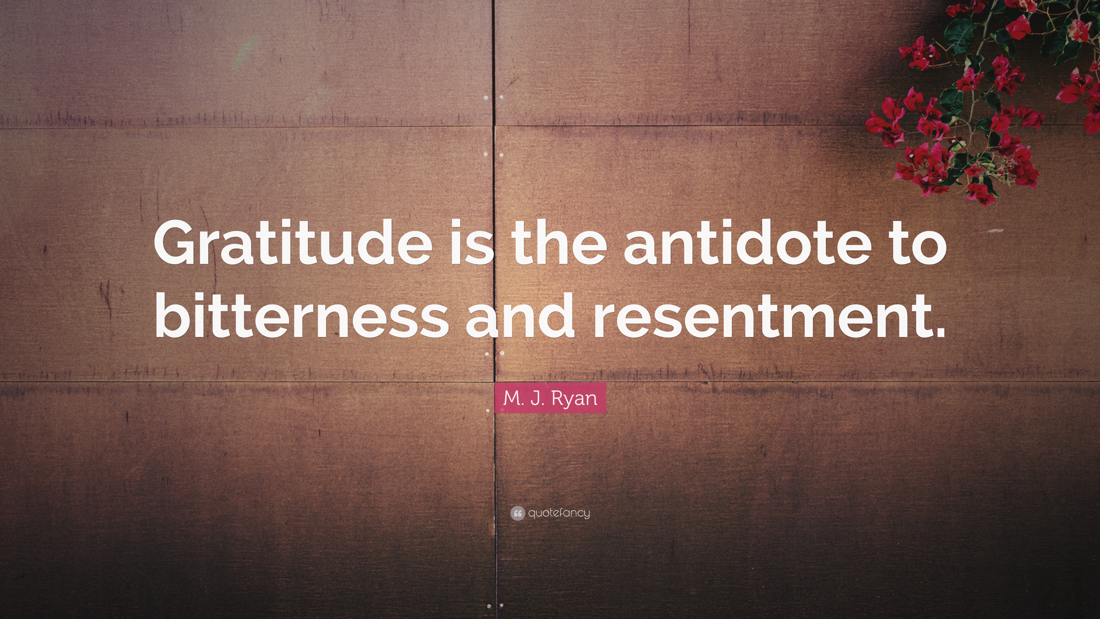 M. J. Ryan Quote: “Gratitude is the antidote to bitterness and resentment.”