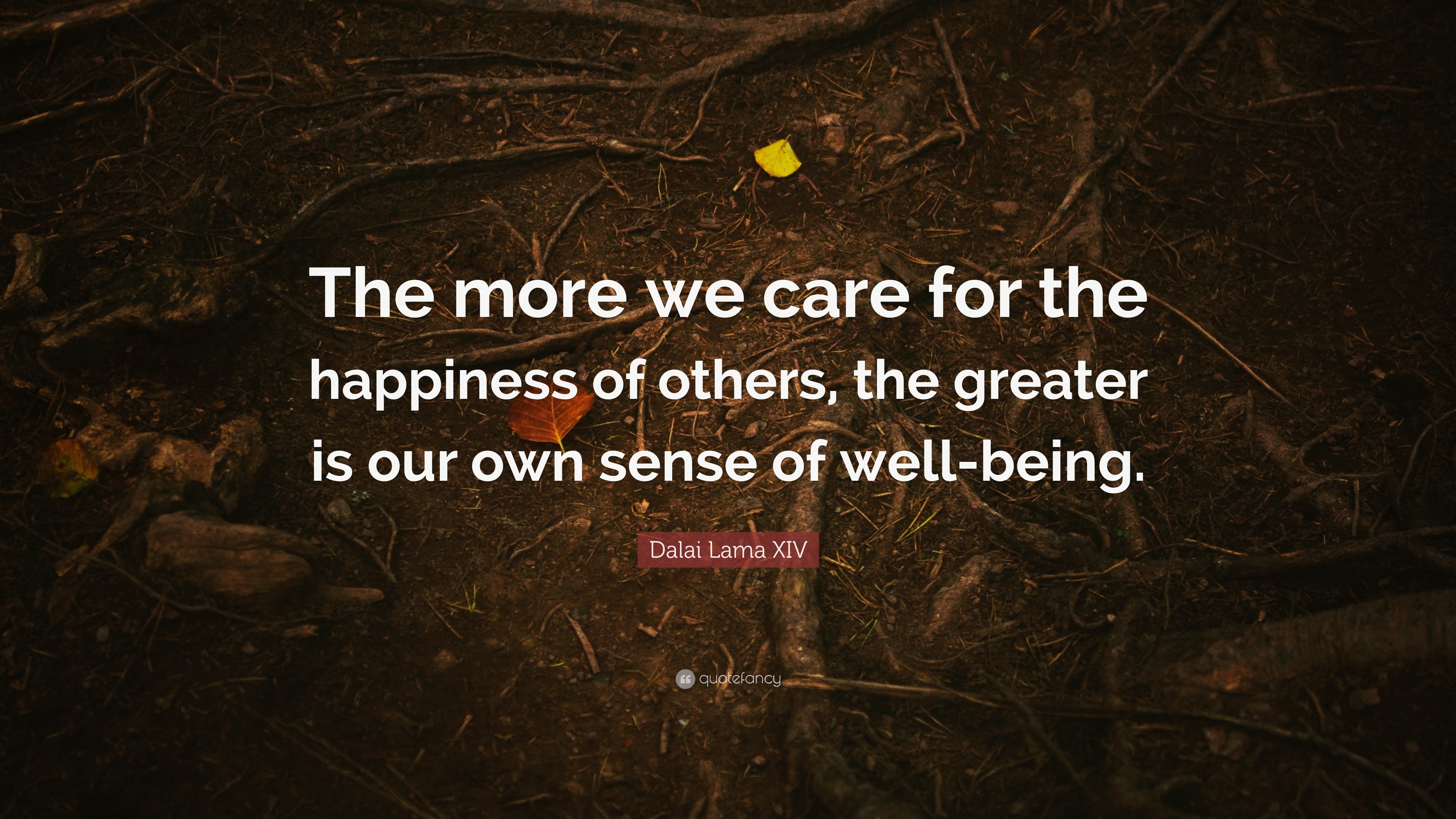 Happiness In Helping Others Quotes
