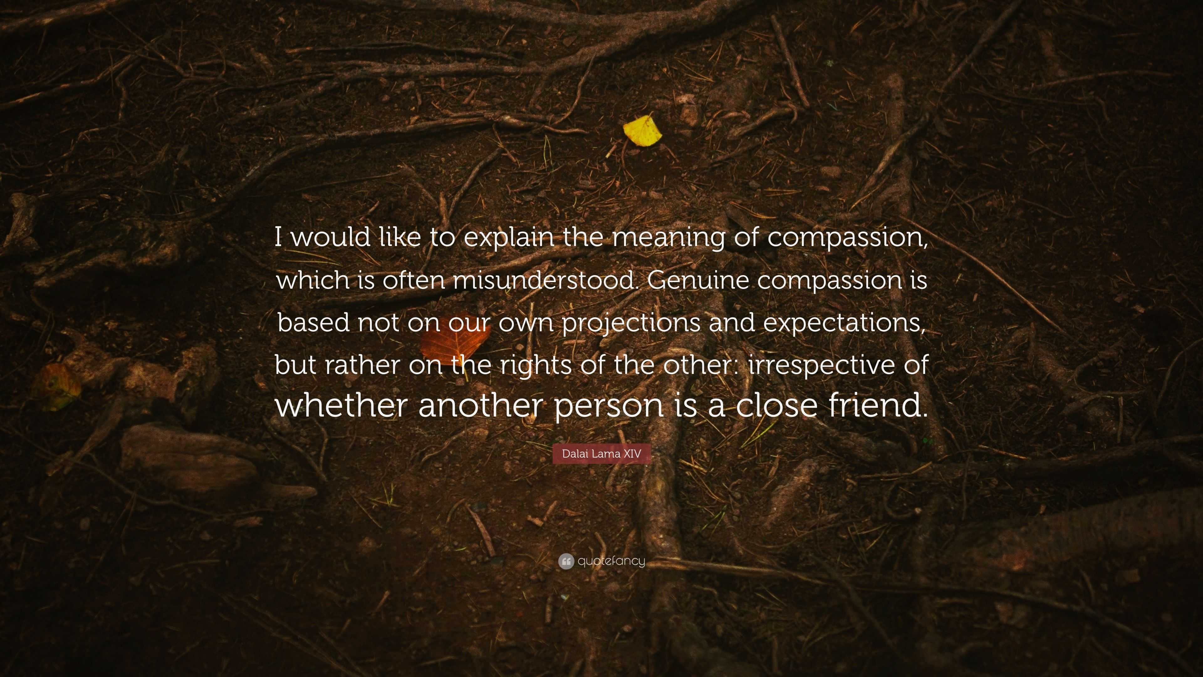 Dalai Lama Xiv Quote I Would Like To Explain The Meaning Of Compassion Which Is Often Misunderstood Genuine Compassion Is Based Not On Our