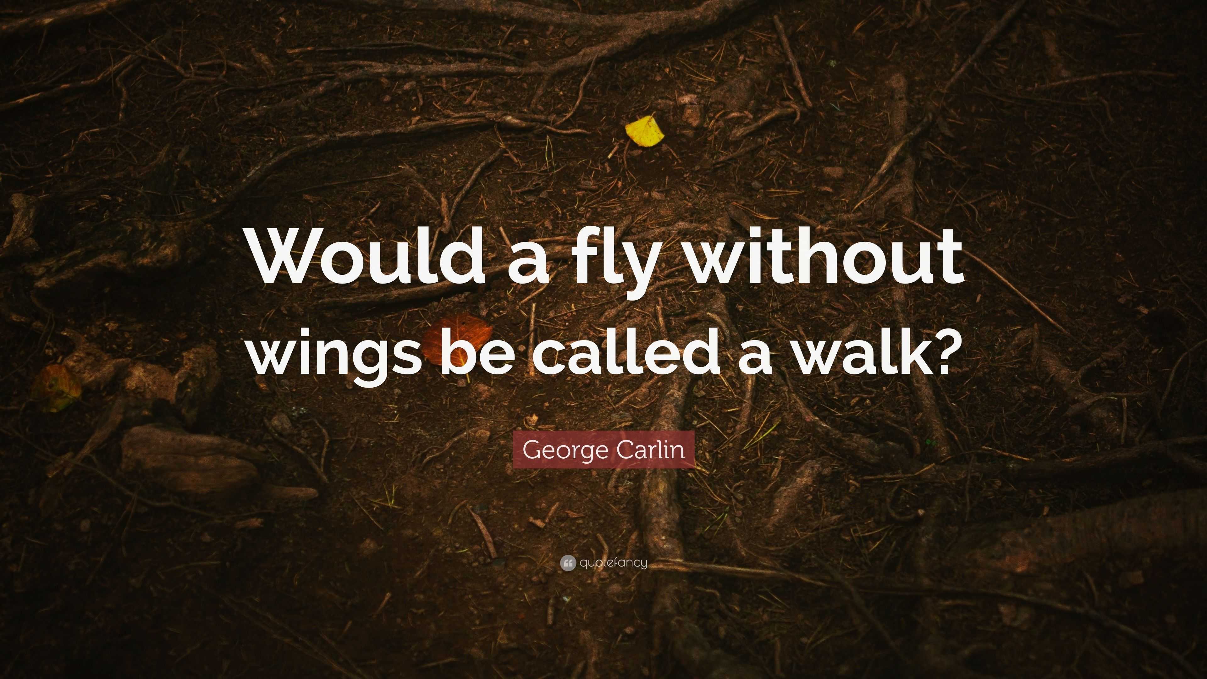 george-carlin-quote-would-a-fly-without-wings-be-called-a-walk