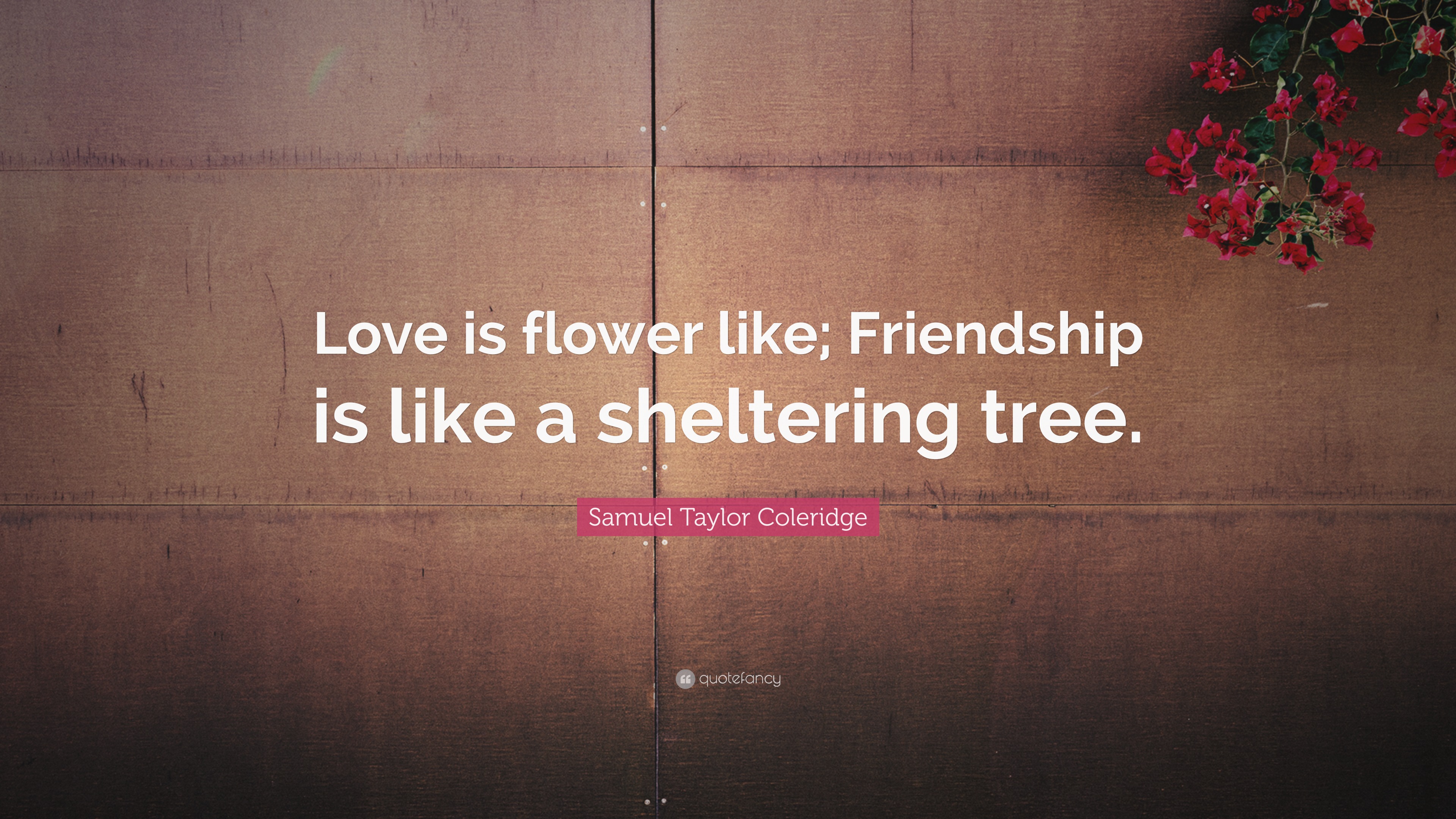 Samuel Taylor Coleridge Quote: “love Is Flower Like; Friendship Is Like 