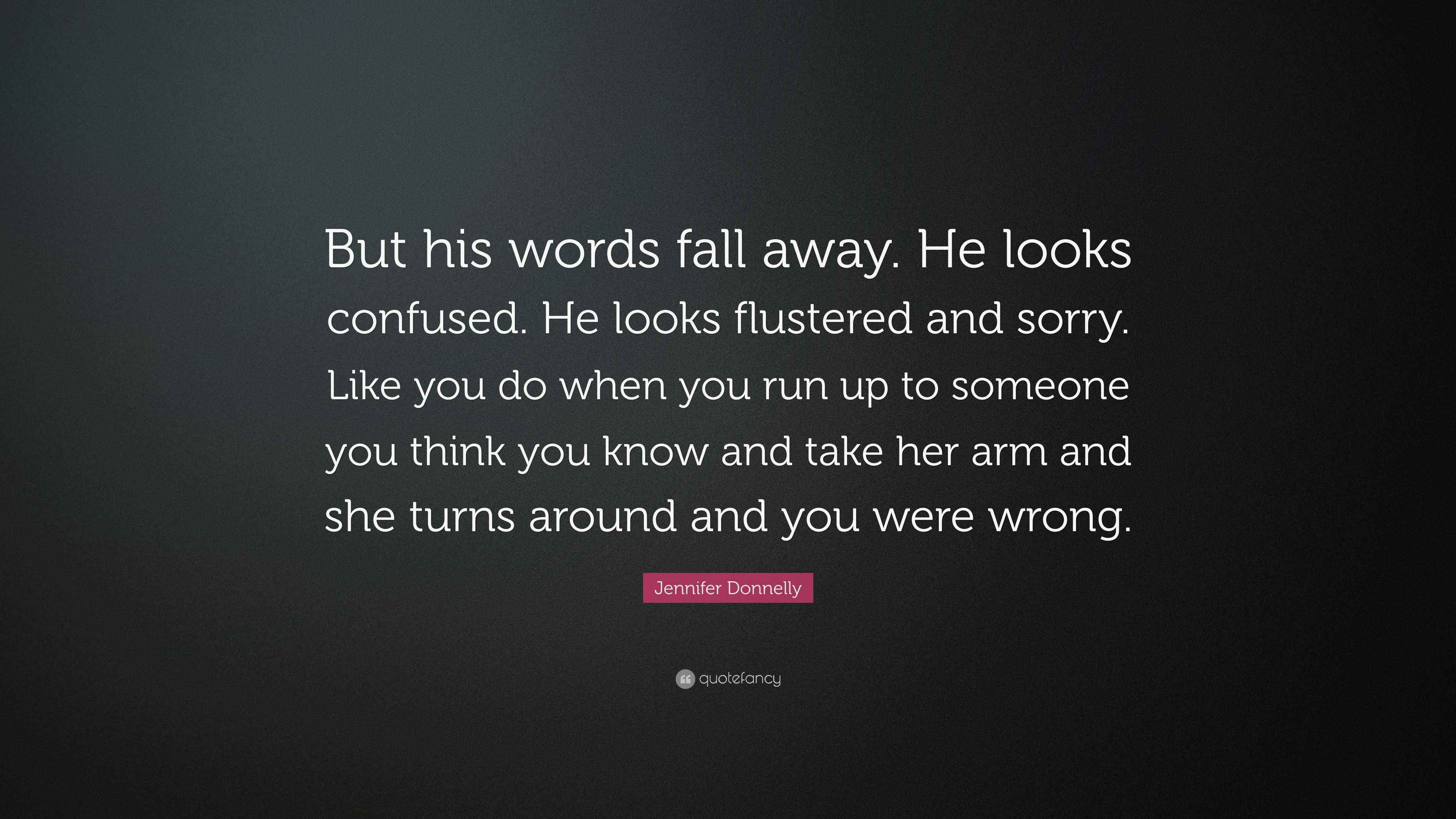 Jennifer Donnelly Quote: “But his words fall away. He looks confused ...