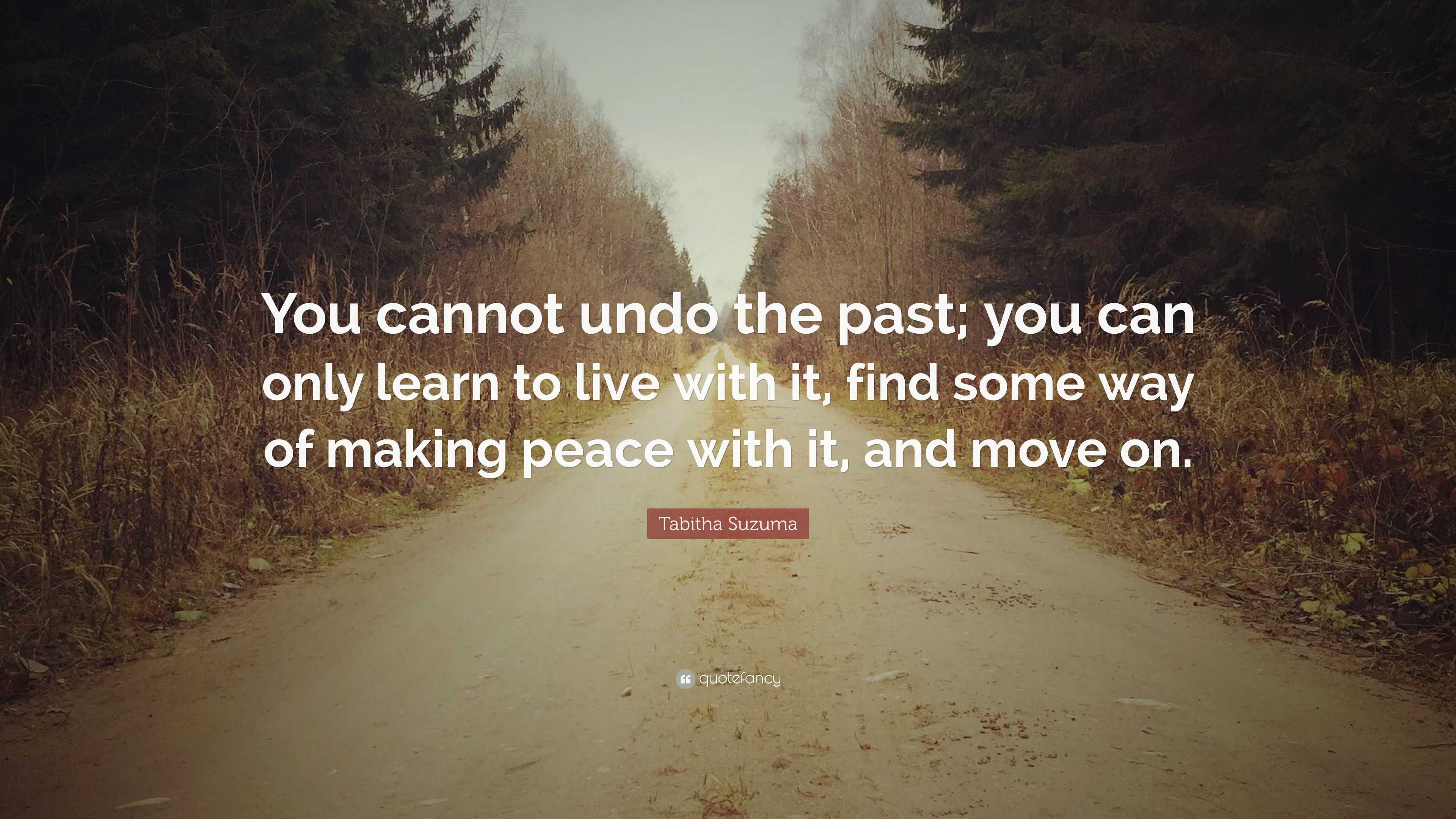 Tabitha Suzuma Quote: “You cannot undo the past; you can only learn to ...