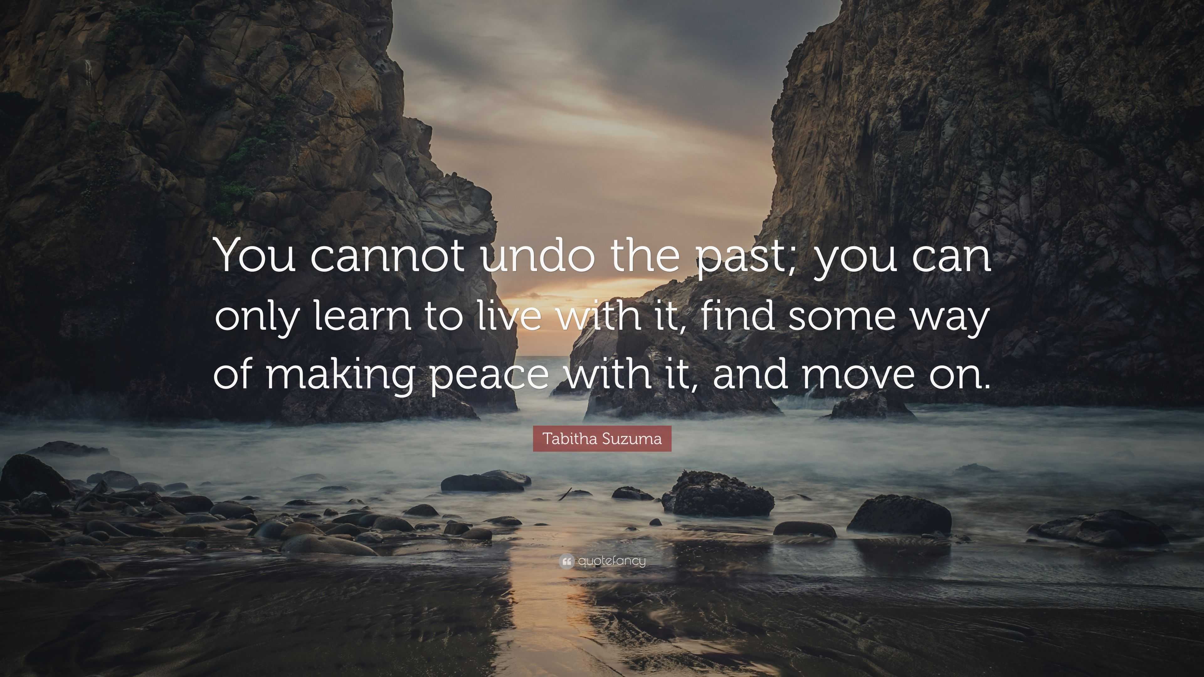 Tabitha Suzuma Quote: “You cannot undo the past; you can only learn to ...