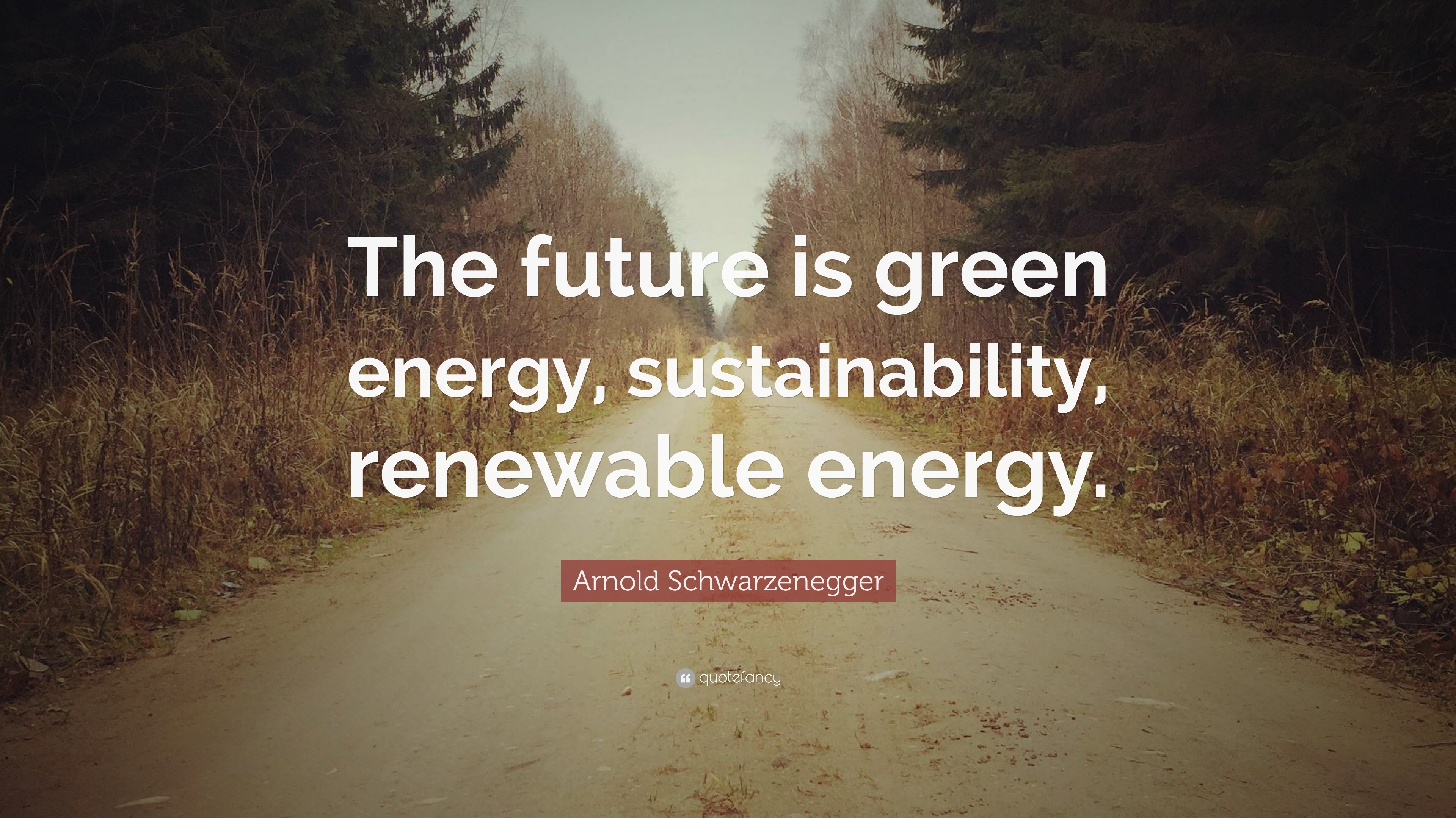 Arnold Schwarzenegger Quote “The future is green energy