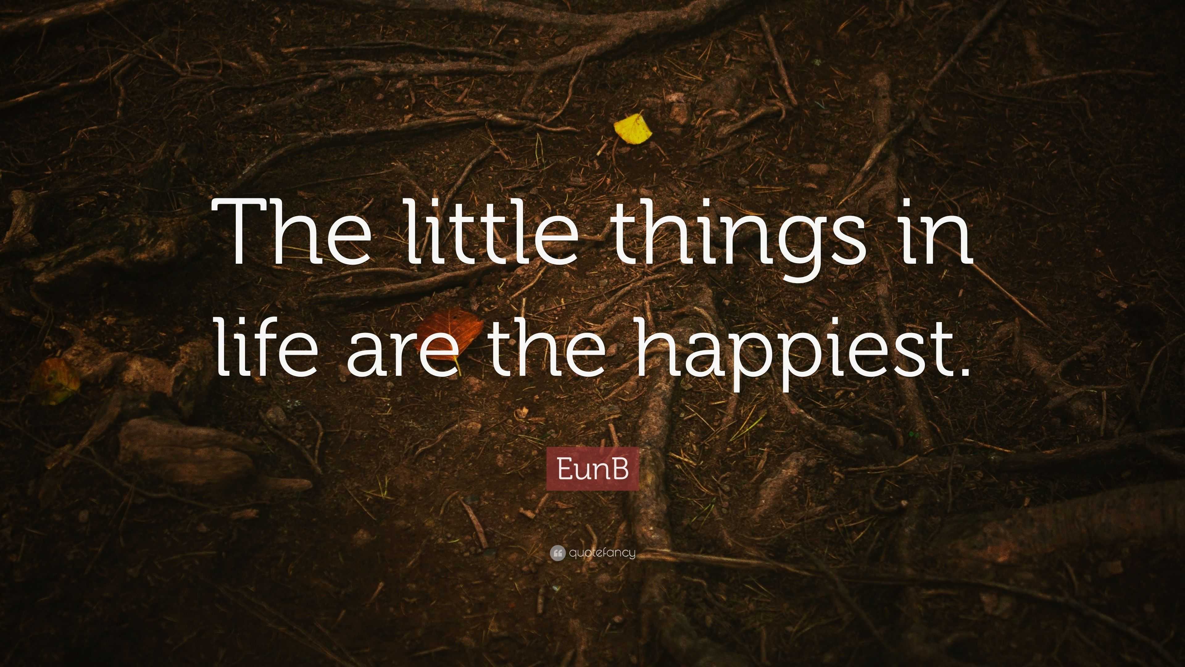 EunB Quote “The little things in life are the happiest ”