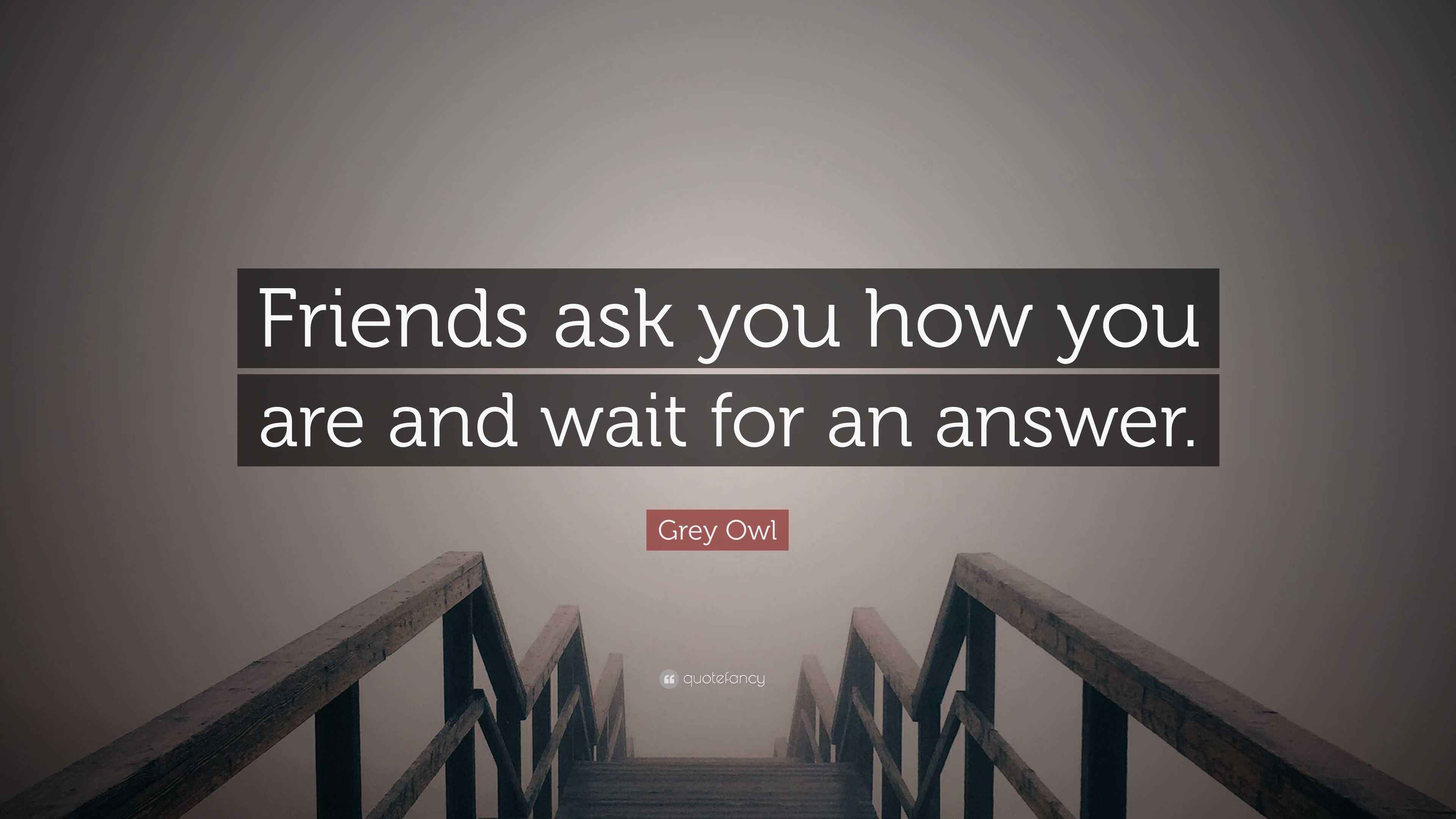 Owl time. Locations: Barn owl - US, Central and South America, Australia,  India, Europe, mid amd central Africa . Snowy owl - Canada, Alaska,  northern europe, some northern States. Great horned owl - ..., image size:3840x2160