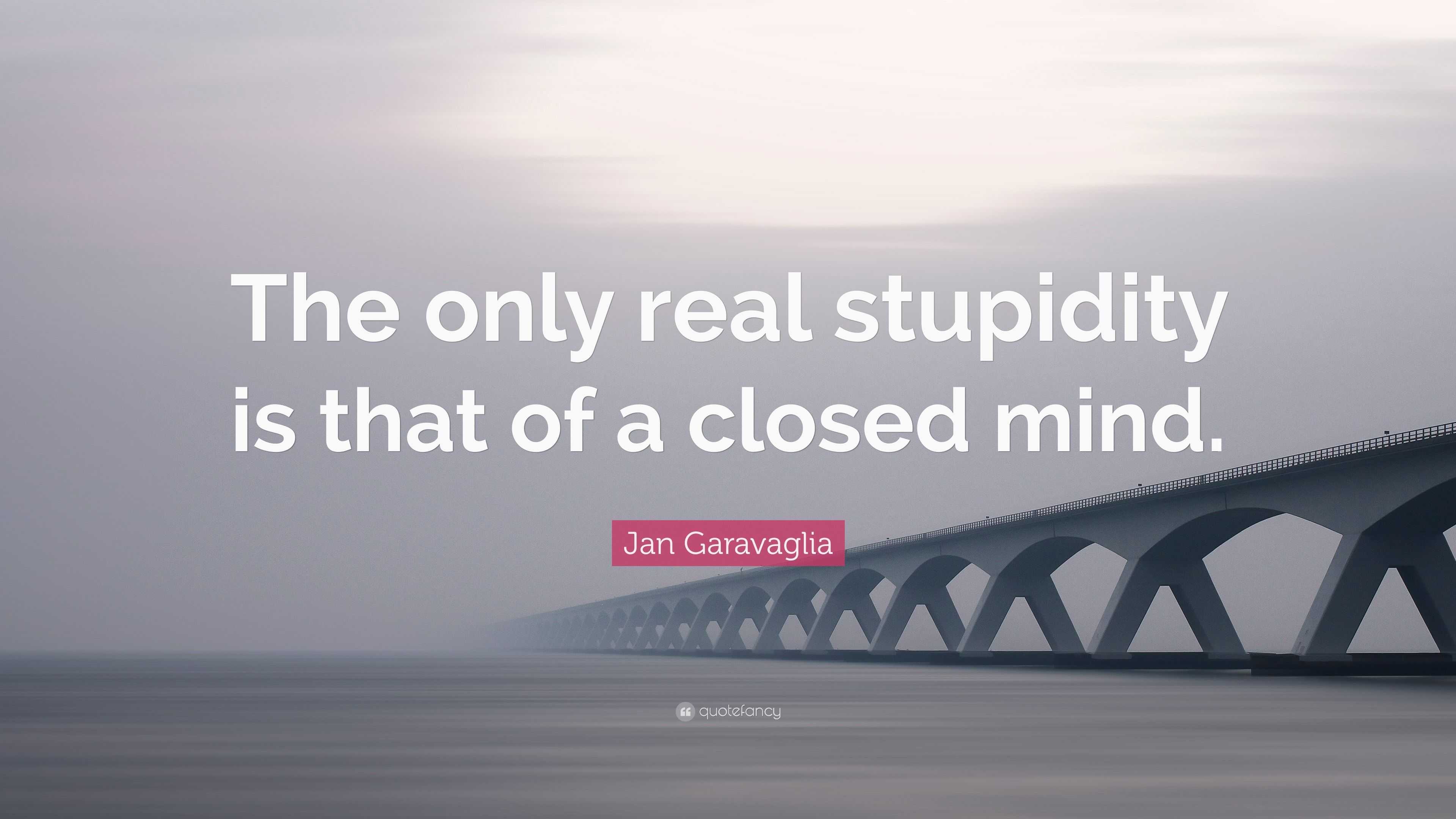 Jan Garavaglia Quote “The only real stupidity is that of a closed mind.”