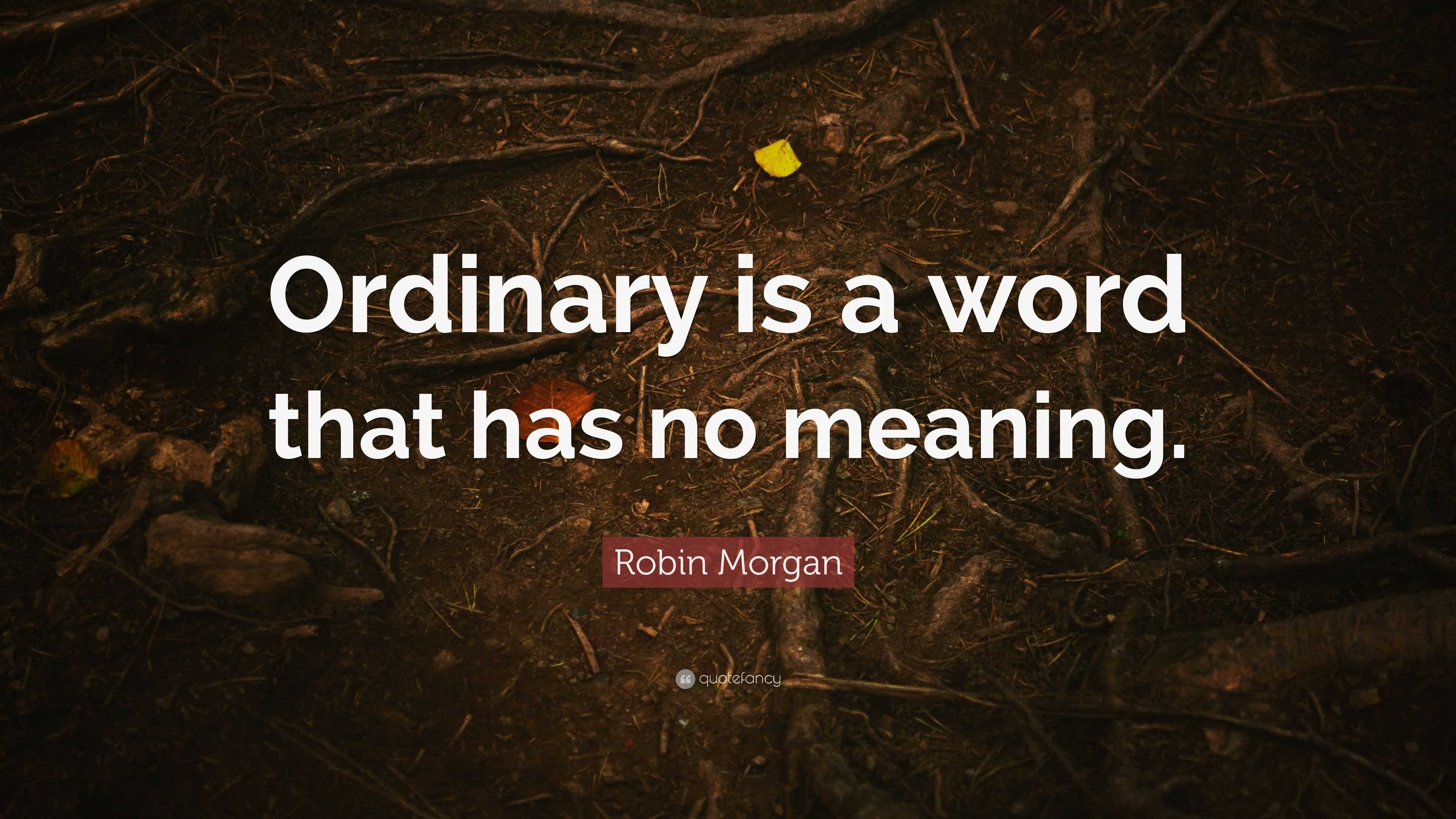 robin-morgan-quote-ordinary-is-a-word-that-has-no-meaning