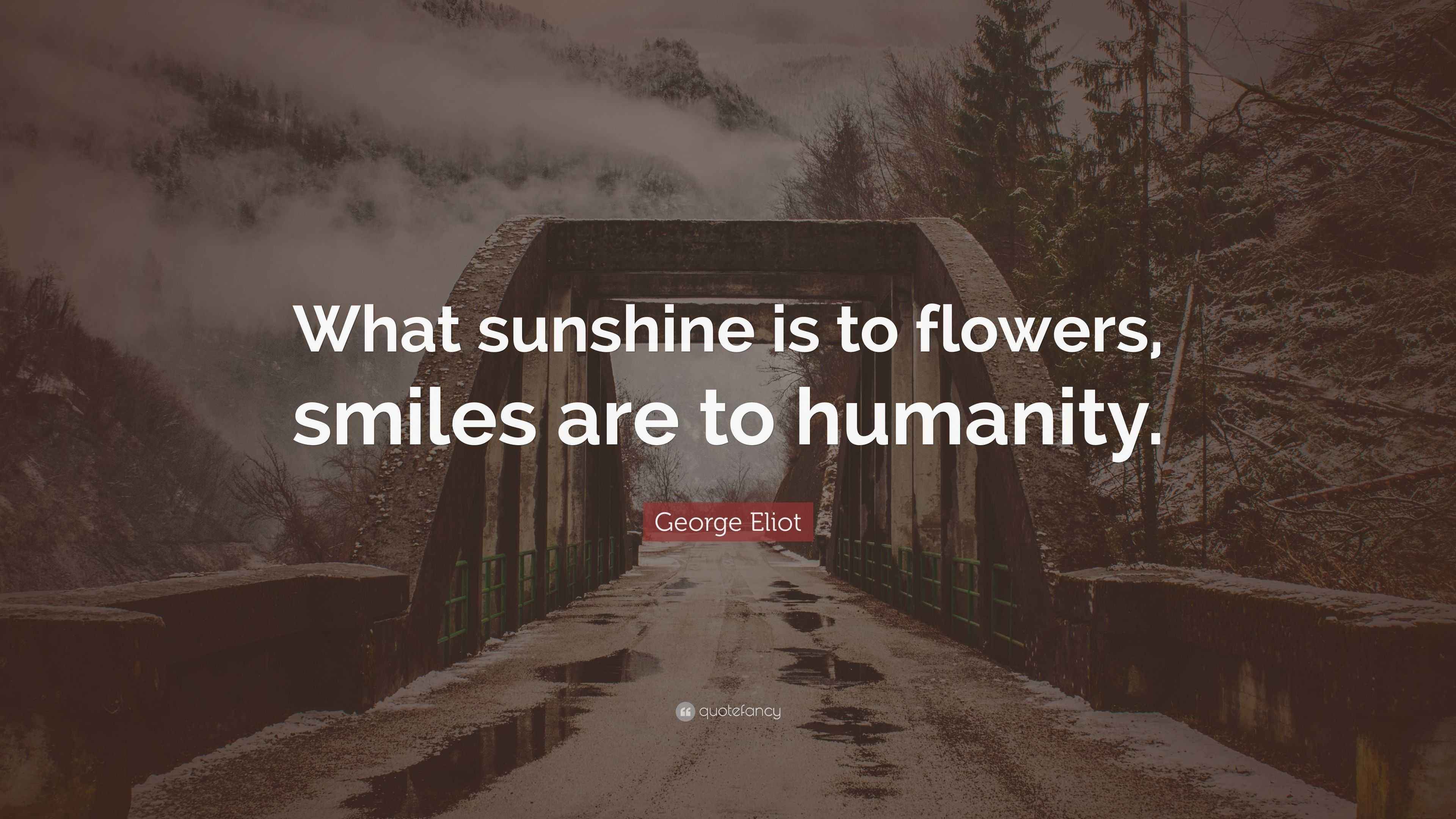 Eliot Quote “What sunshine is to flowers, smiles are to humanity.”