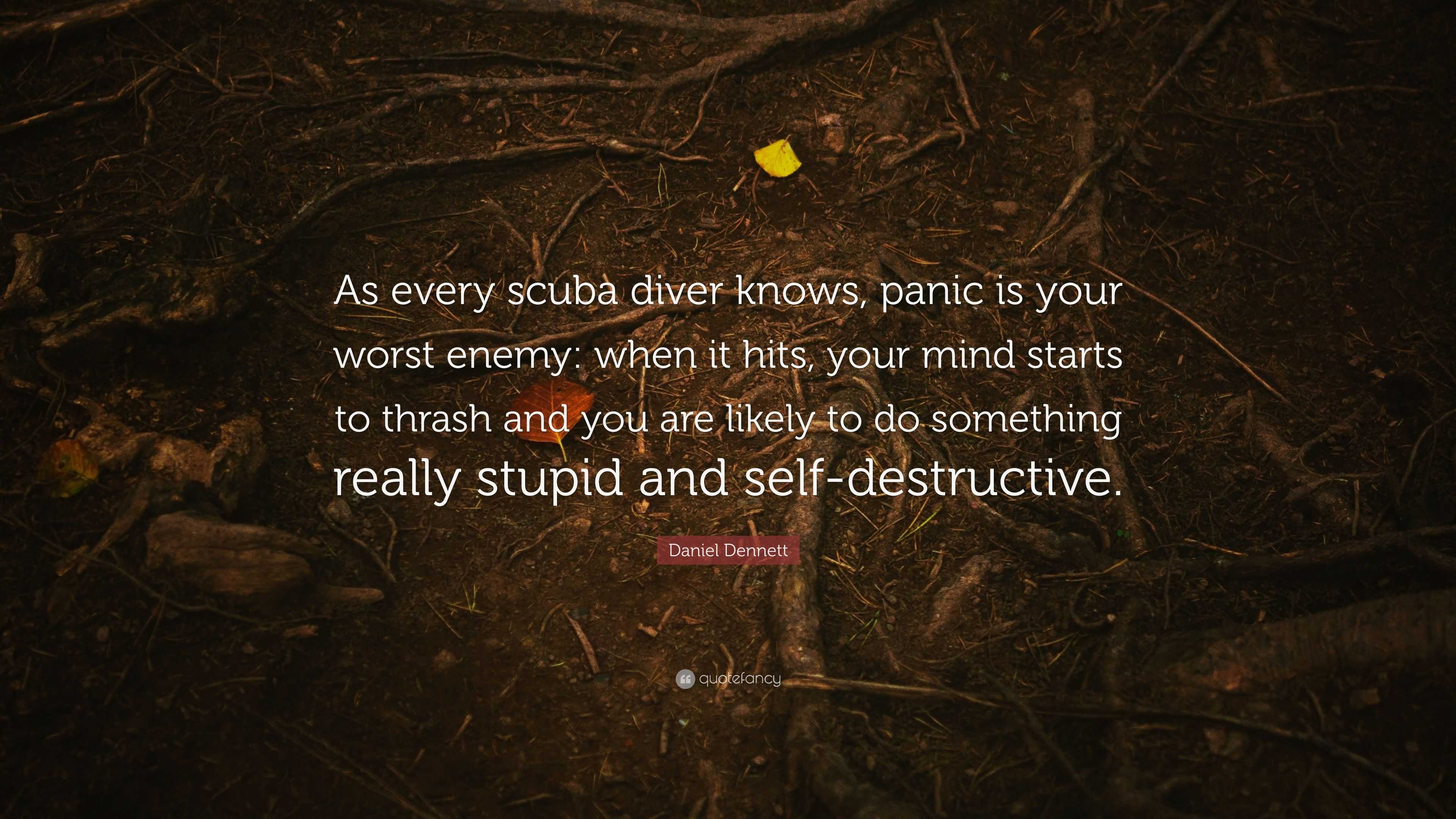 Daniel Dennett Quote: “As every scuba diver knows, panic is your worst