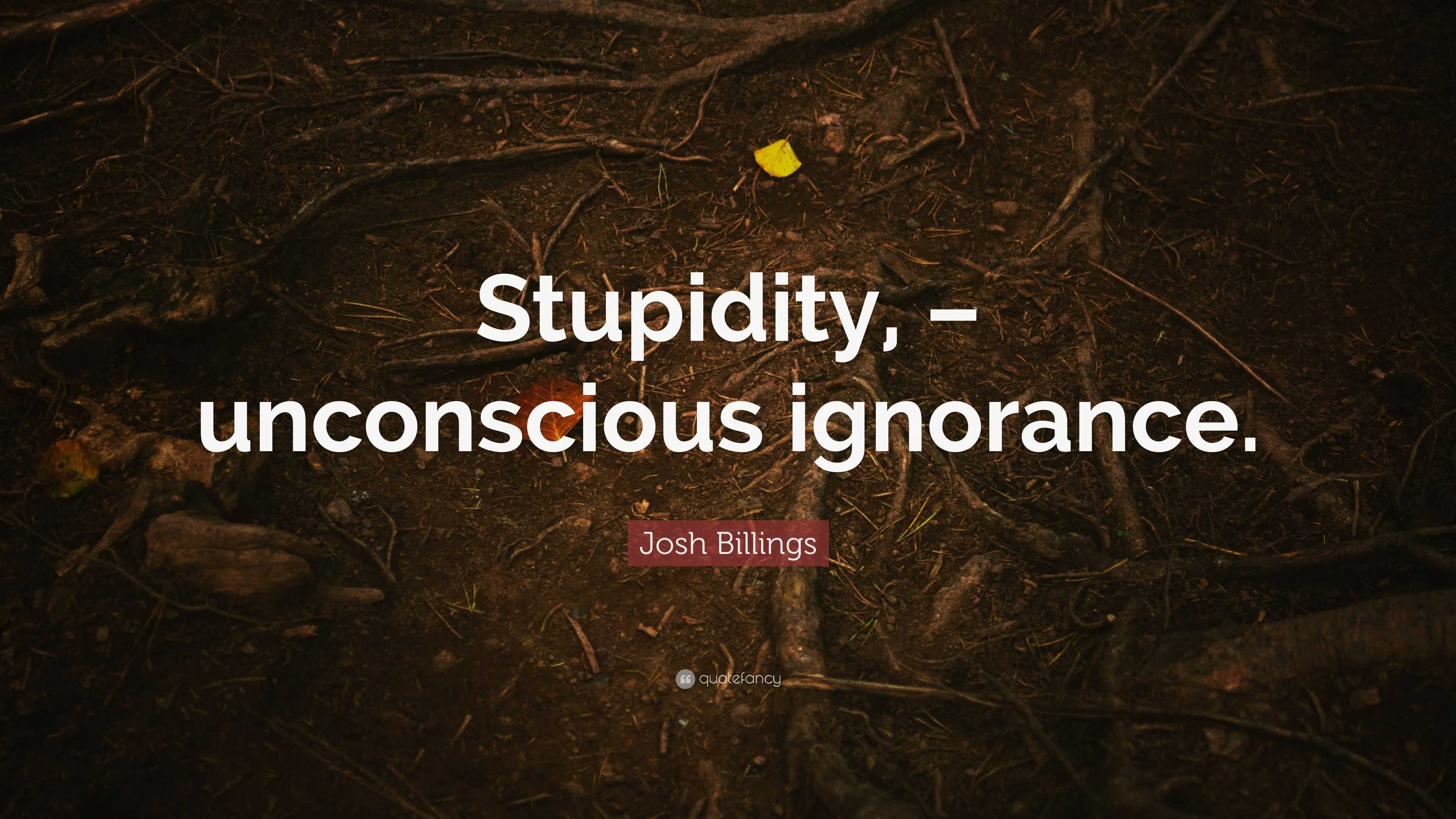 Josh Billings Quote: “Stupidity, – unconscious ignorance.”