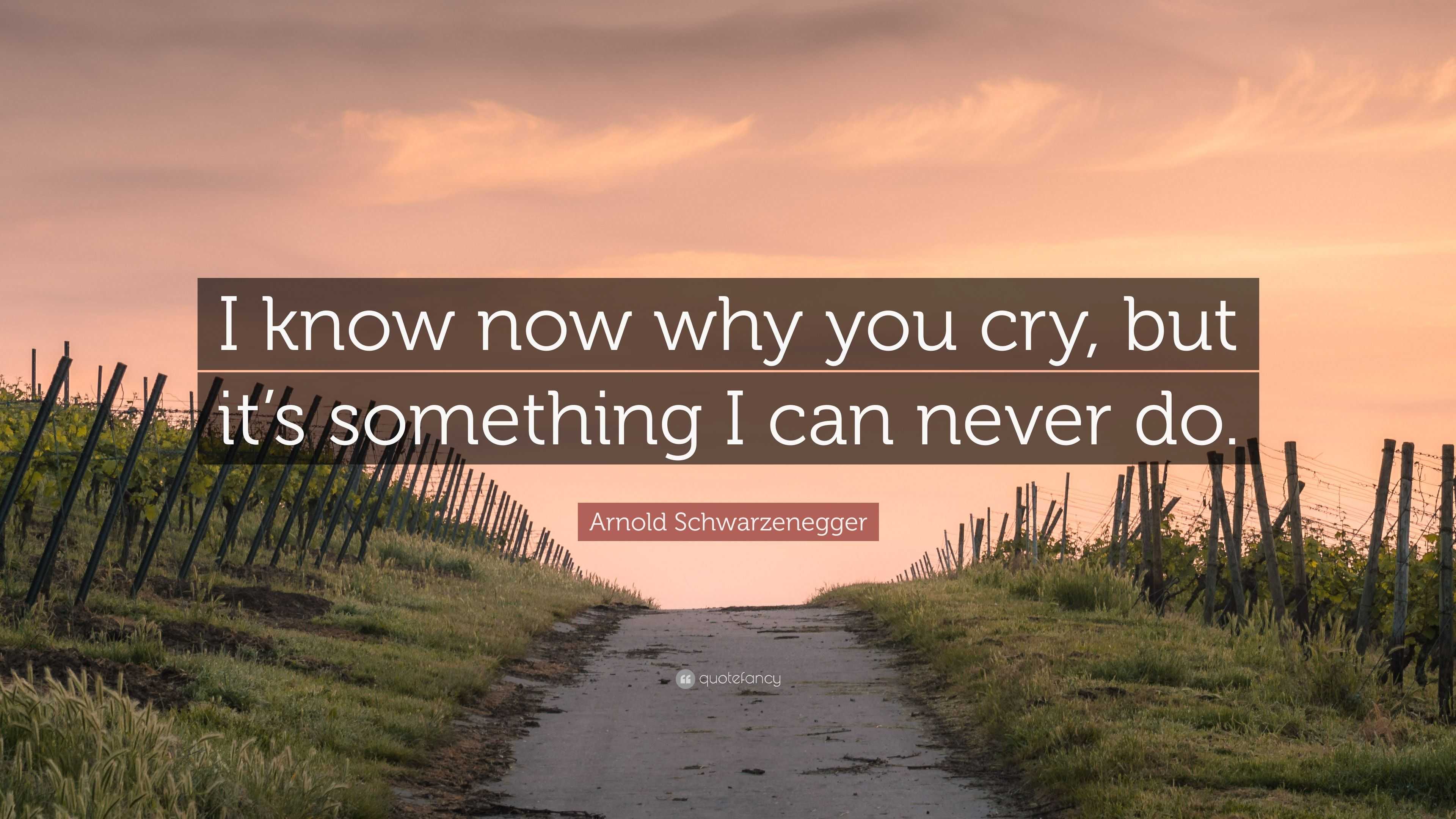 Arnold Schwarzenegger Quote I Know Now Why You Cry But It S Something I Can Never Do