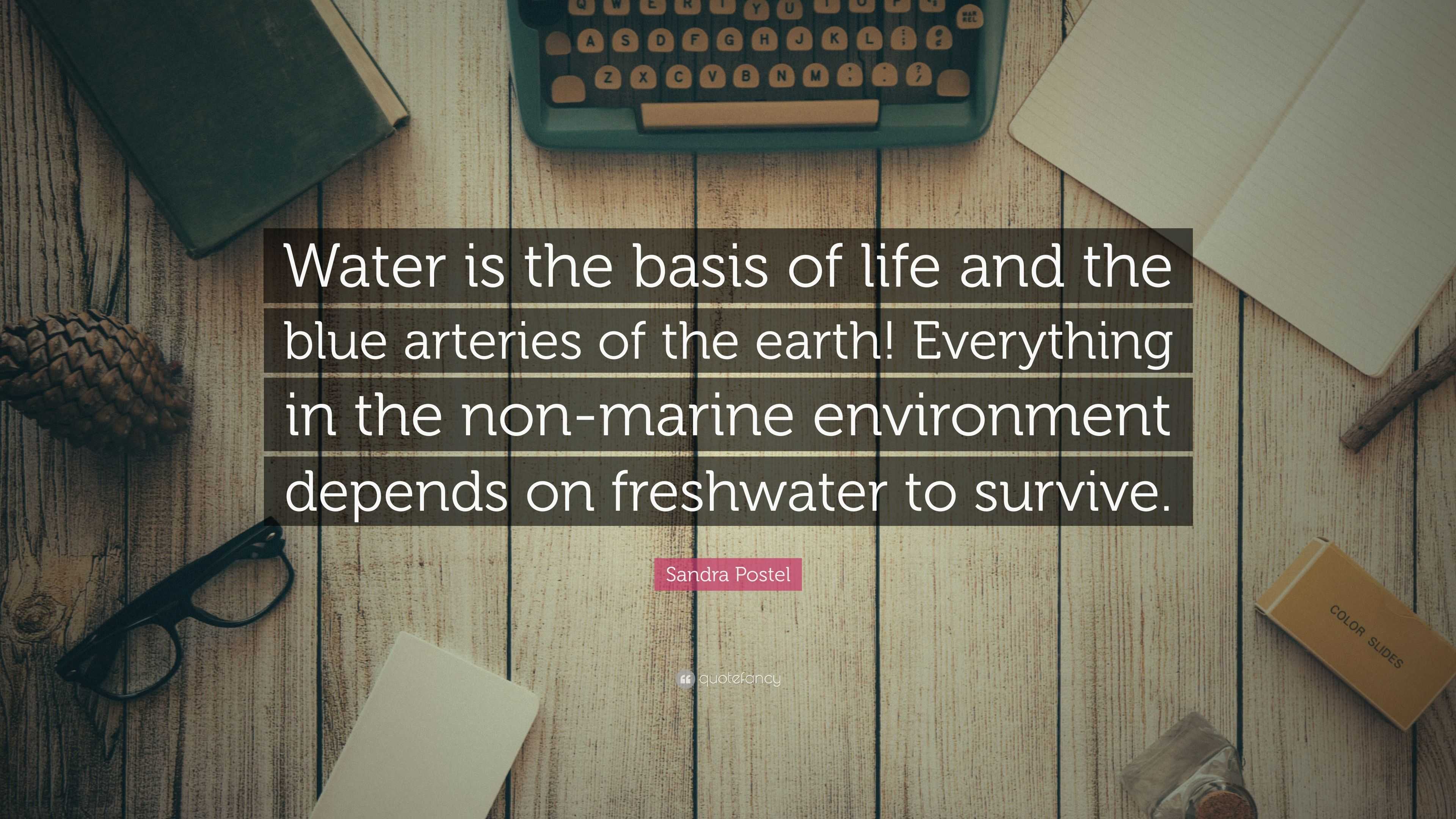 speech on water the basis of life