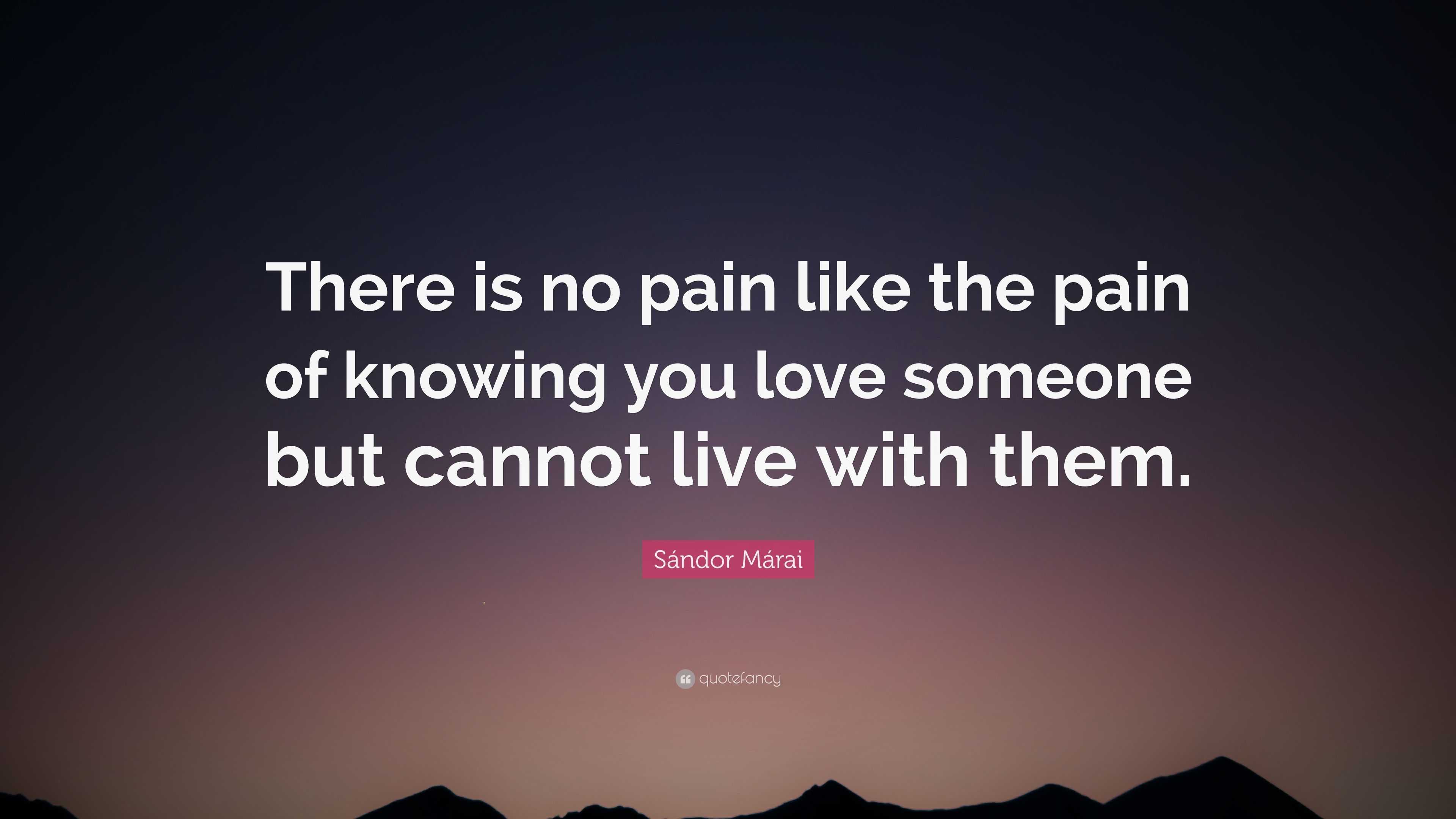 Sándor Márai Quote: “There is no pain like the pain of knowing you love ...