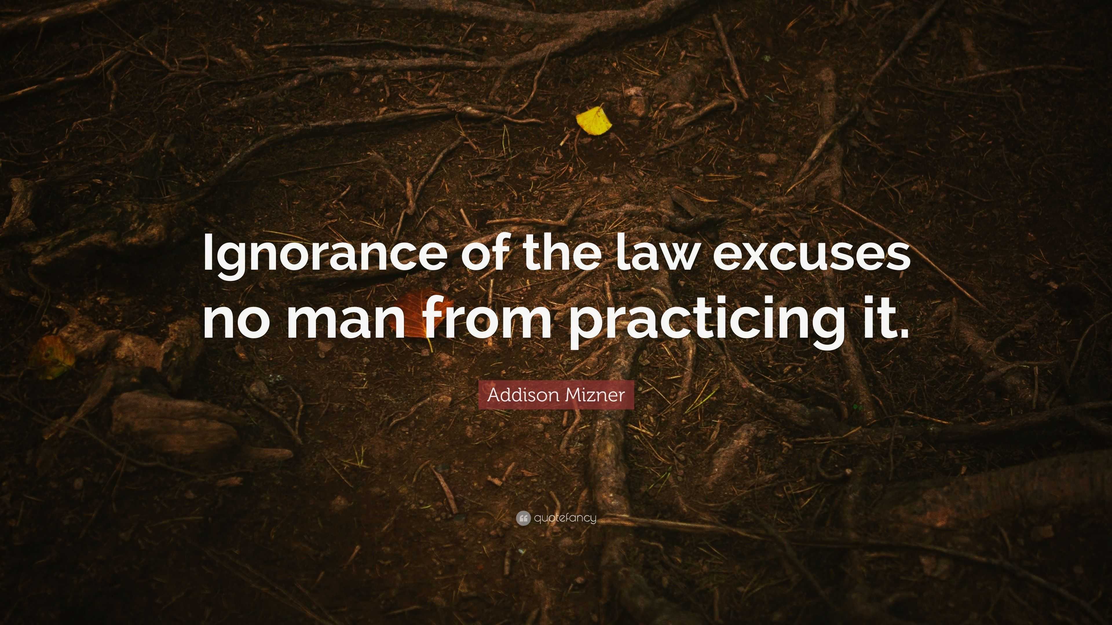 Addison Mizner Quote: “Ignorance of the law excuses no man from