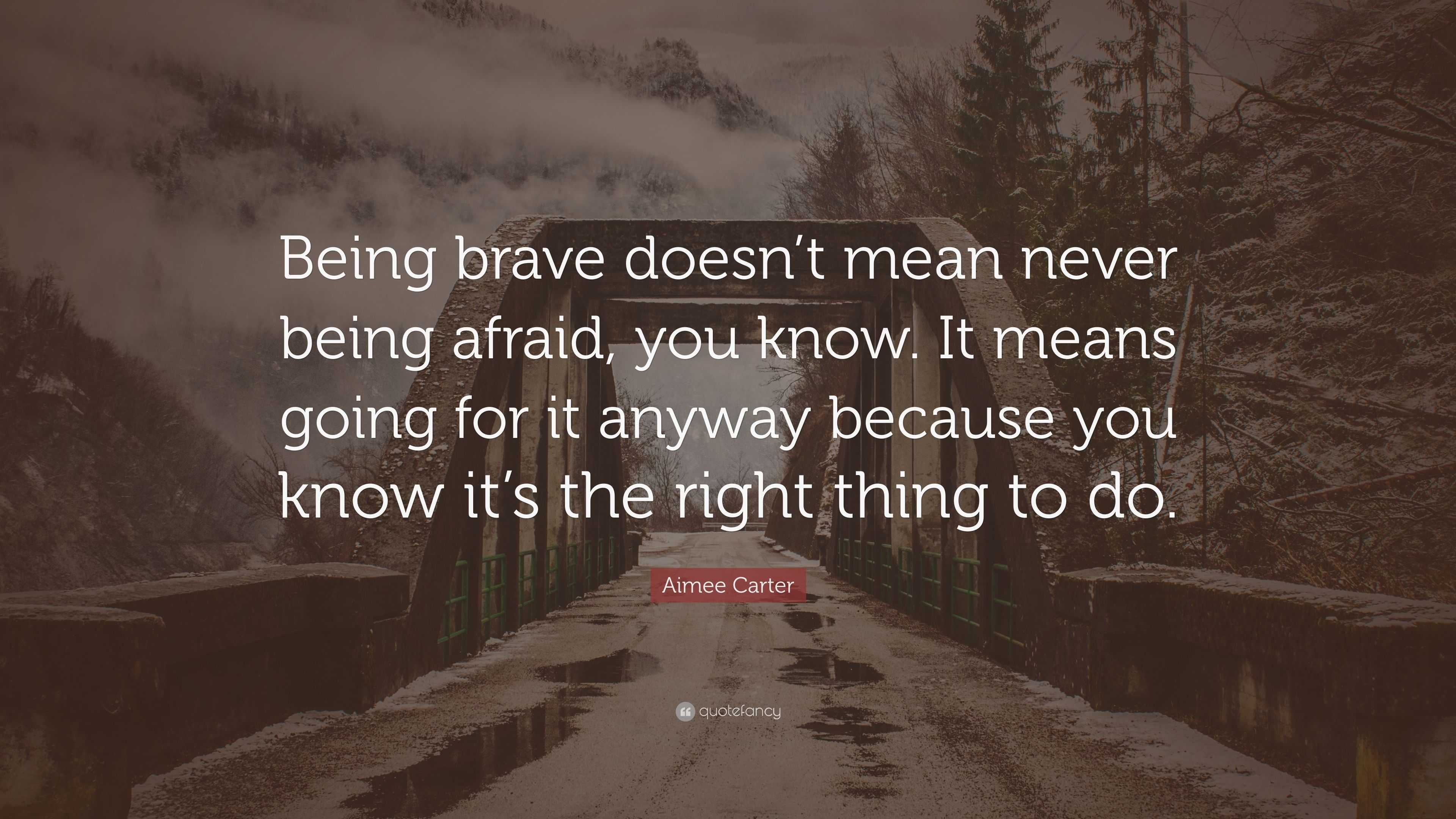 Aimee Carter Quote: “Being brave doesn’t mean never being afraid, you ...