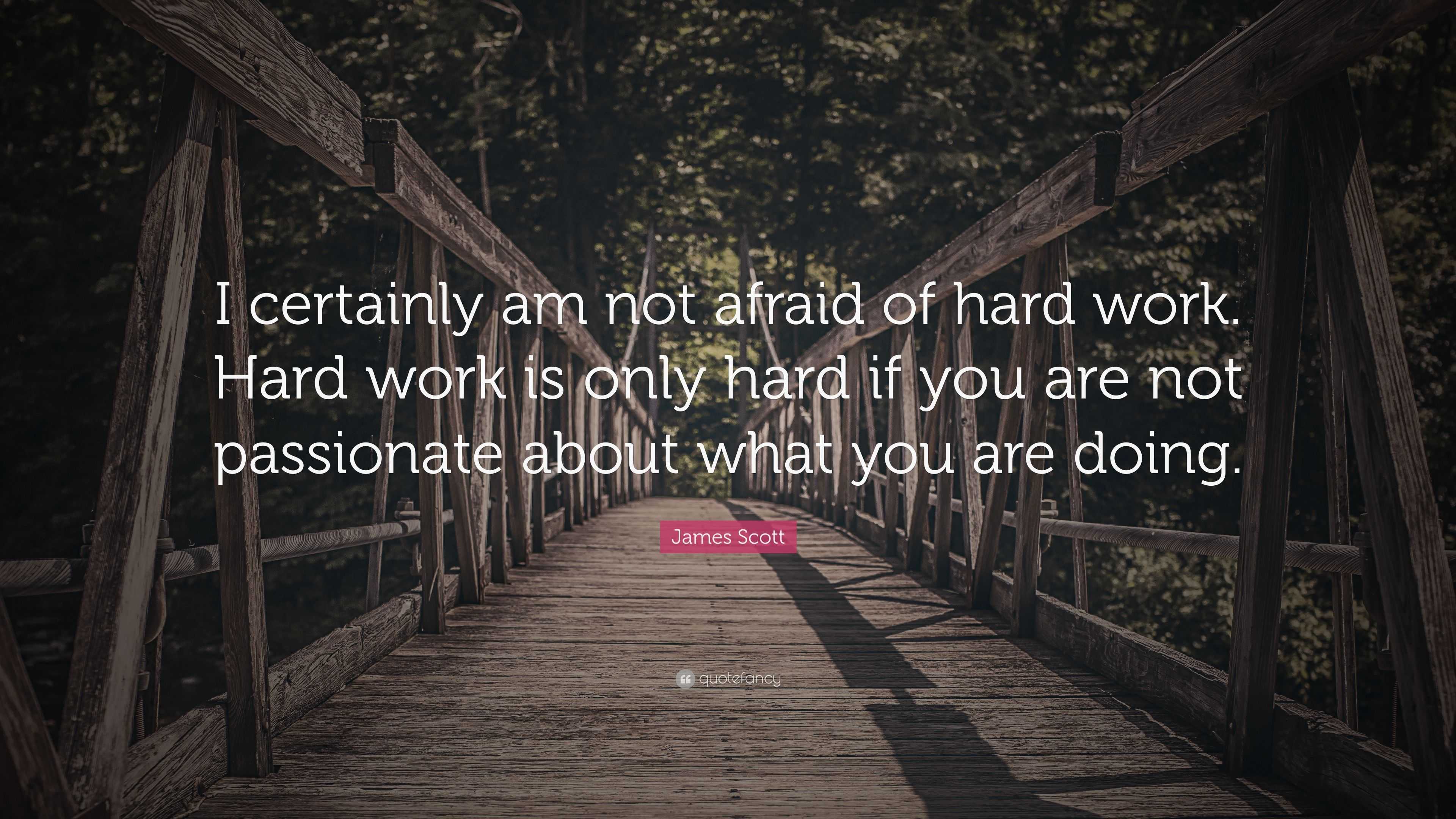 James Scott Quote: “I certainly am not afraid of hard work. Hard work ...