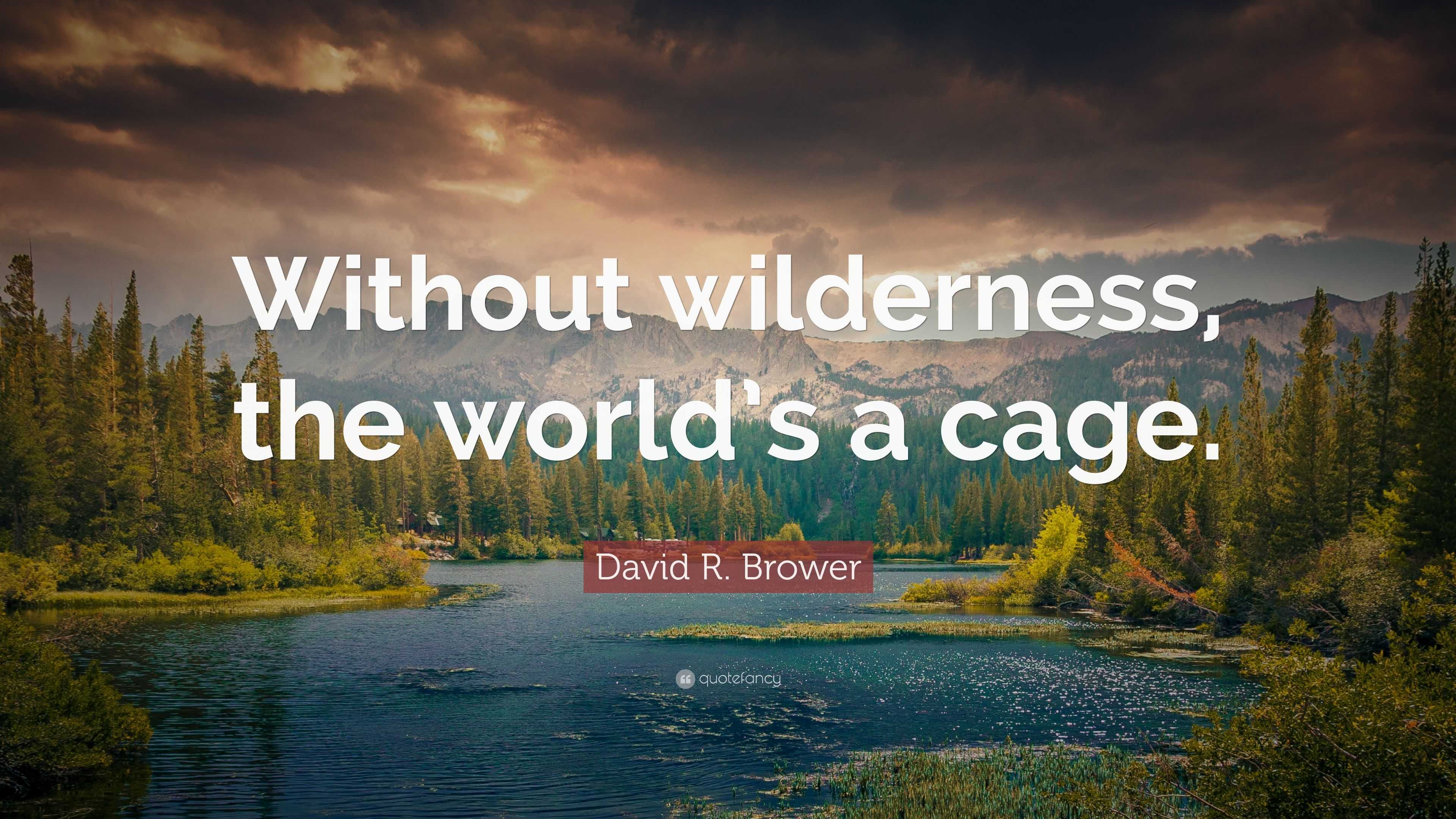 David R. Brower Quote: “Without wilderness, the world’s a cage.”