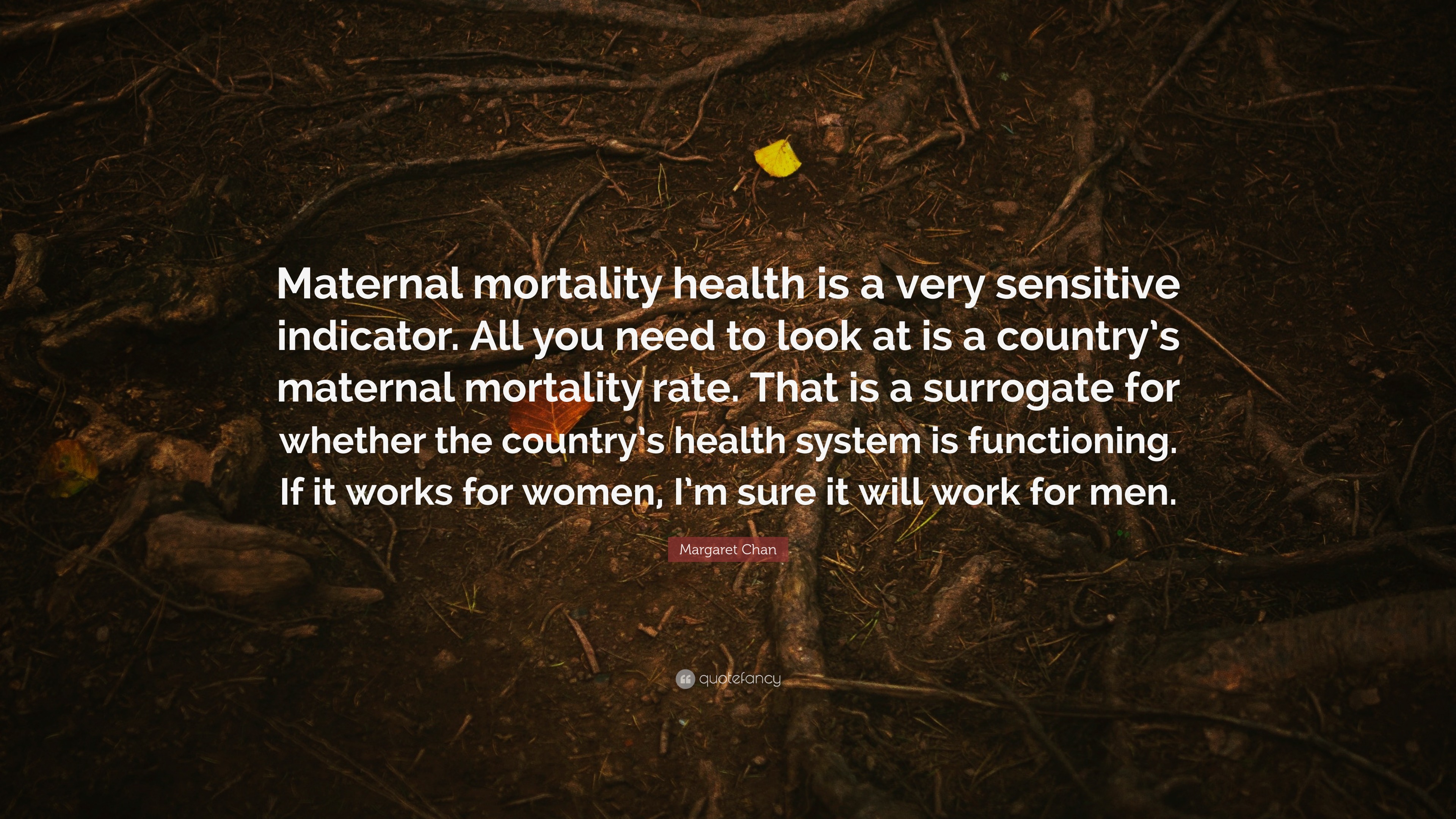 Margaret Chan Quote Maternal Mortality Health Is A Very Sensitive 