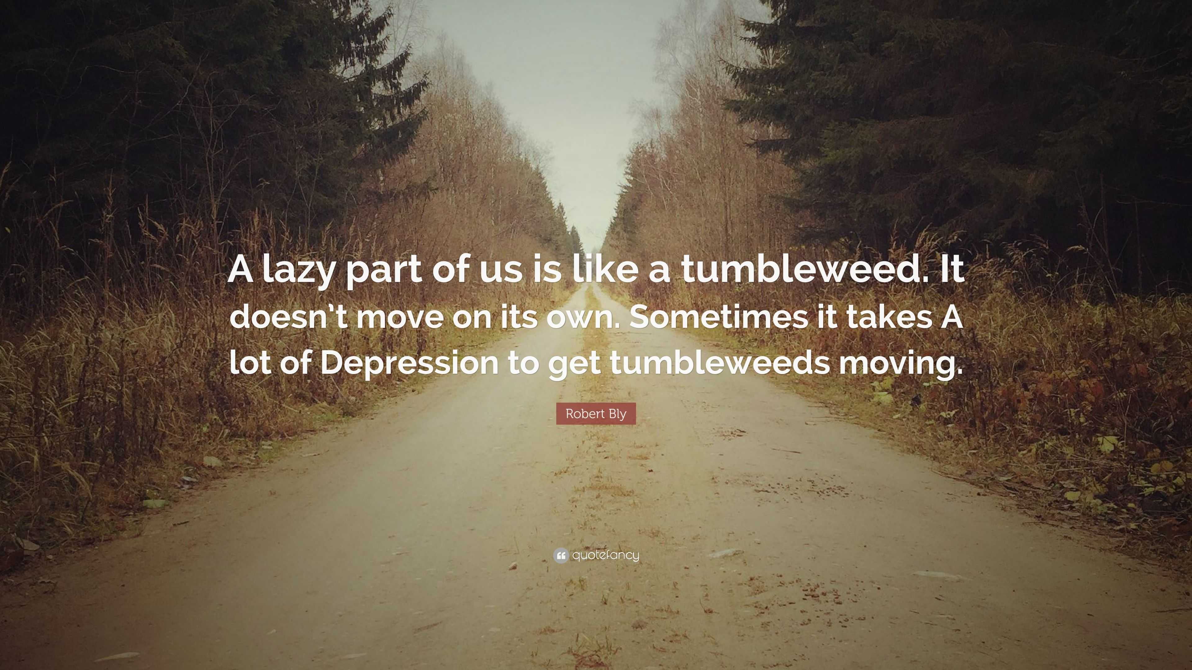 Robert Bly Quote “A lazy part of us is like a tumbleweed. It doesn’t