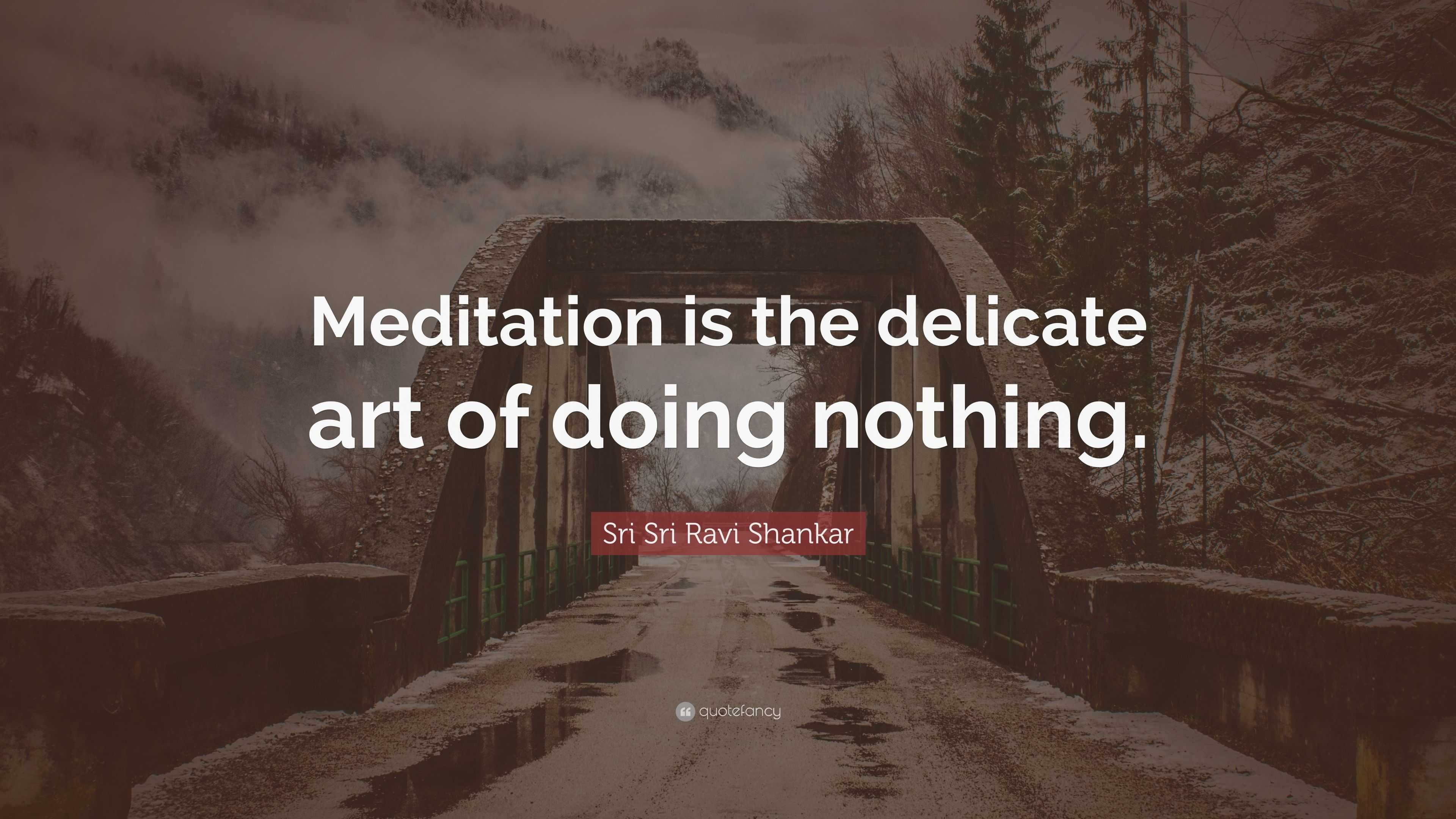 Sri Sri Ravi Shankar Quote: “Meditation is the delicate art of doing ...