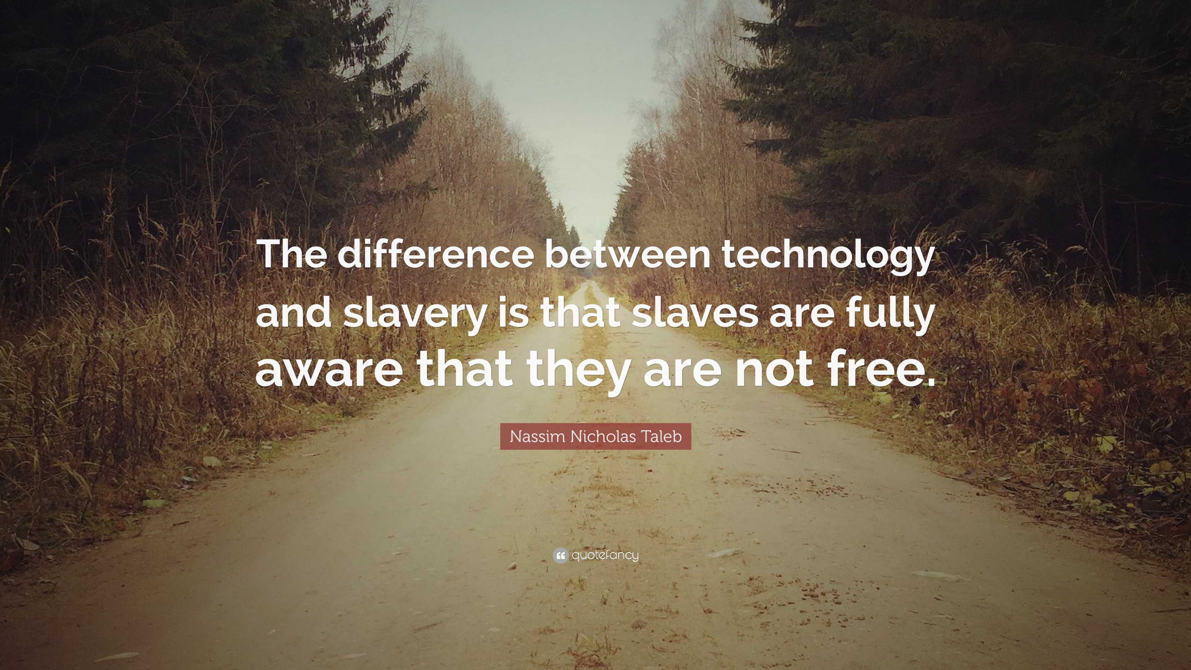 Nassim Nicholas Taleb Quote: “The Difference Between Technology And ...