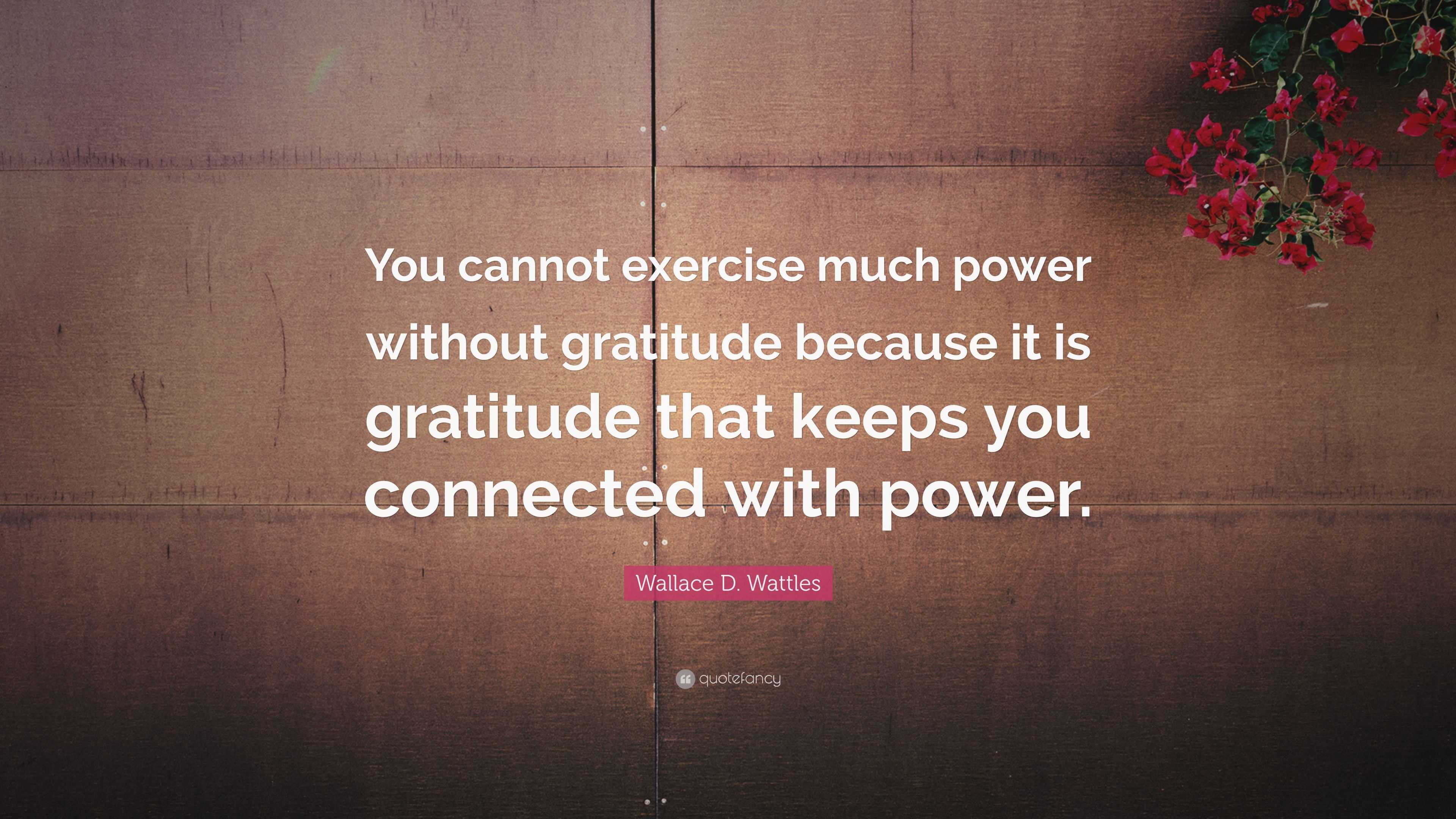 Wallace D. Wattles Quote: “You cannot exercise much power without ...