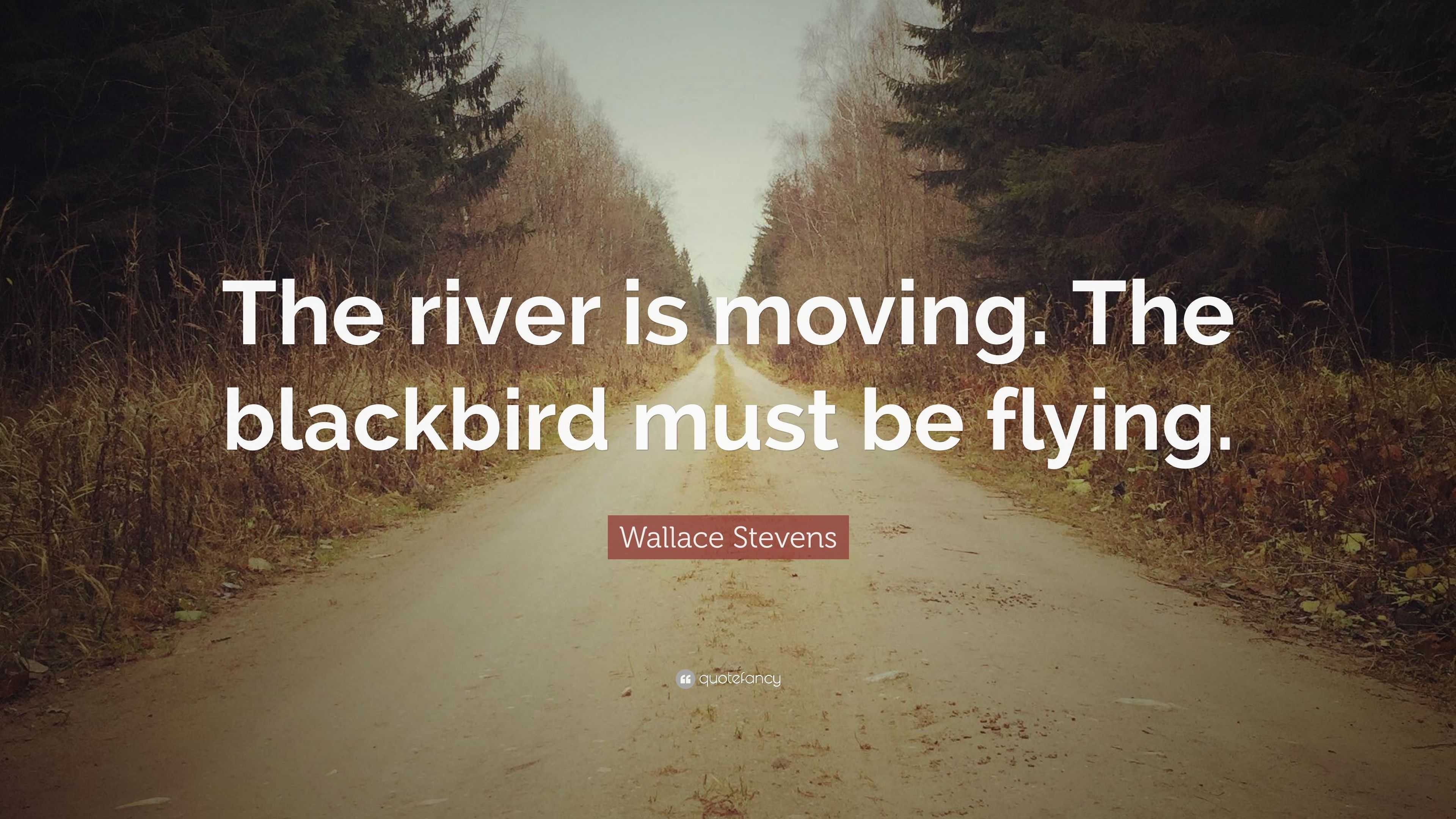 Wallace Stevens Quote: “The river is moving. The blackbird must be flying.”