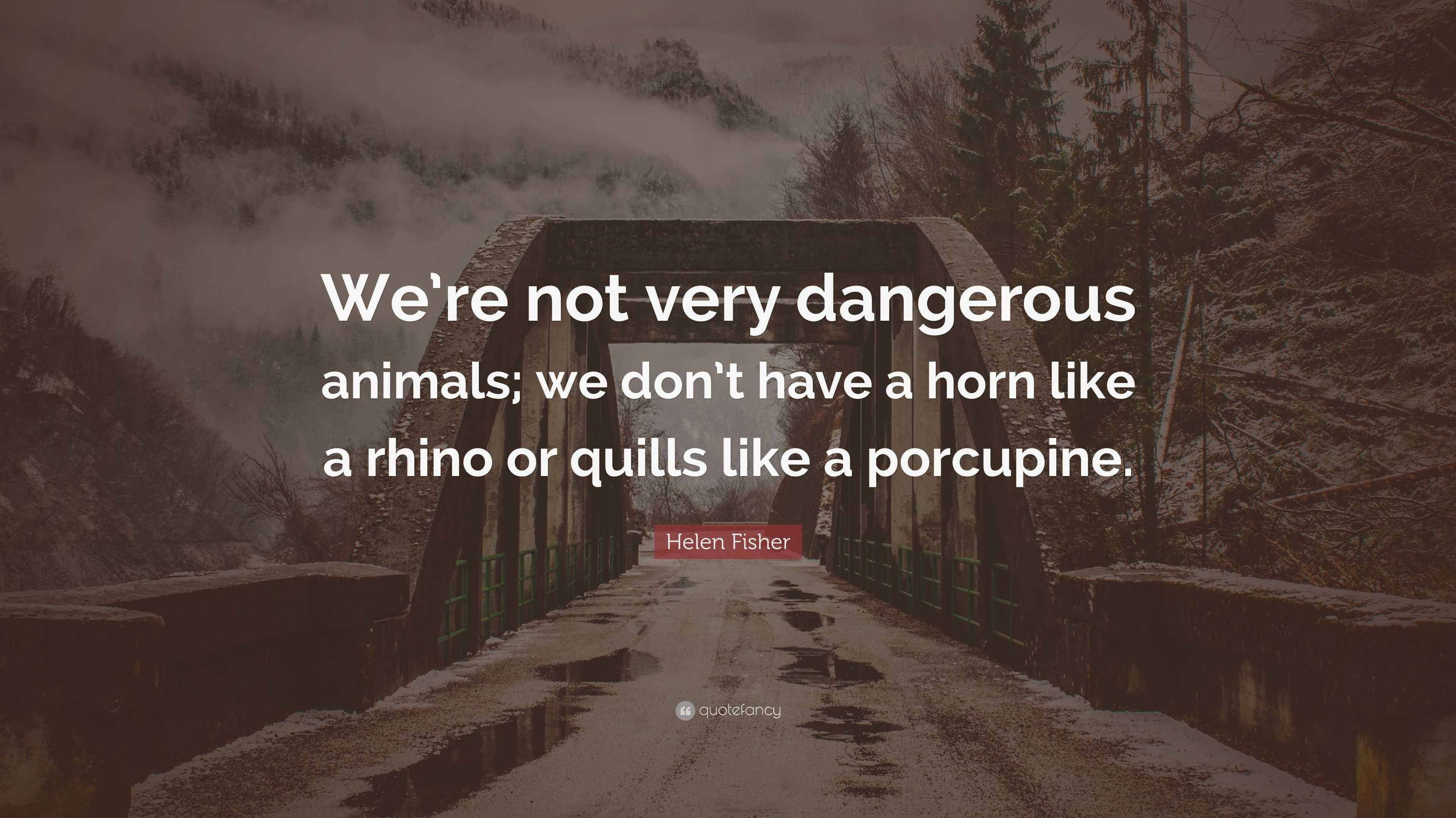 Helen Fisher Quote “We’re not very dangerous animals; we don’t have a
