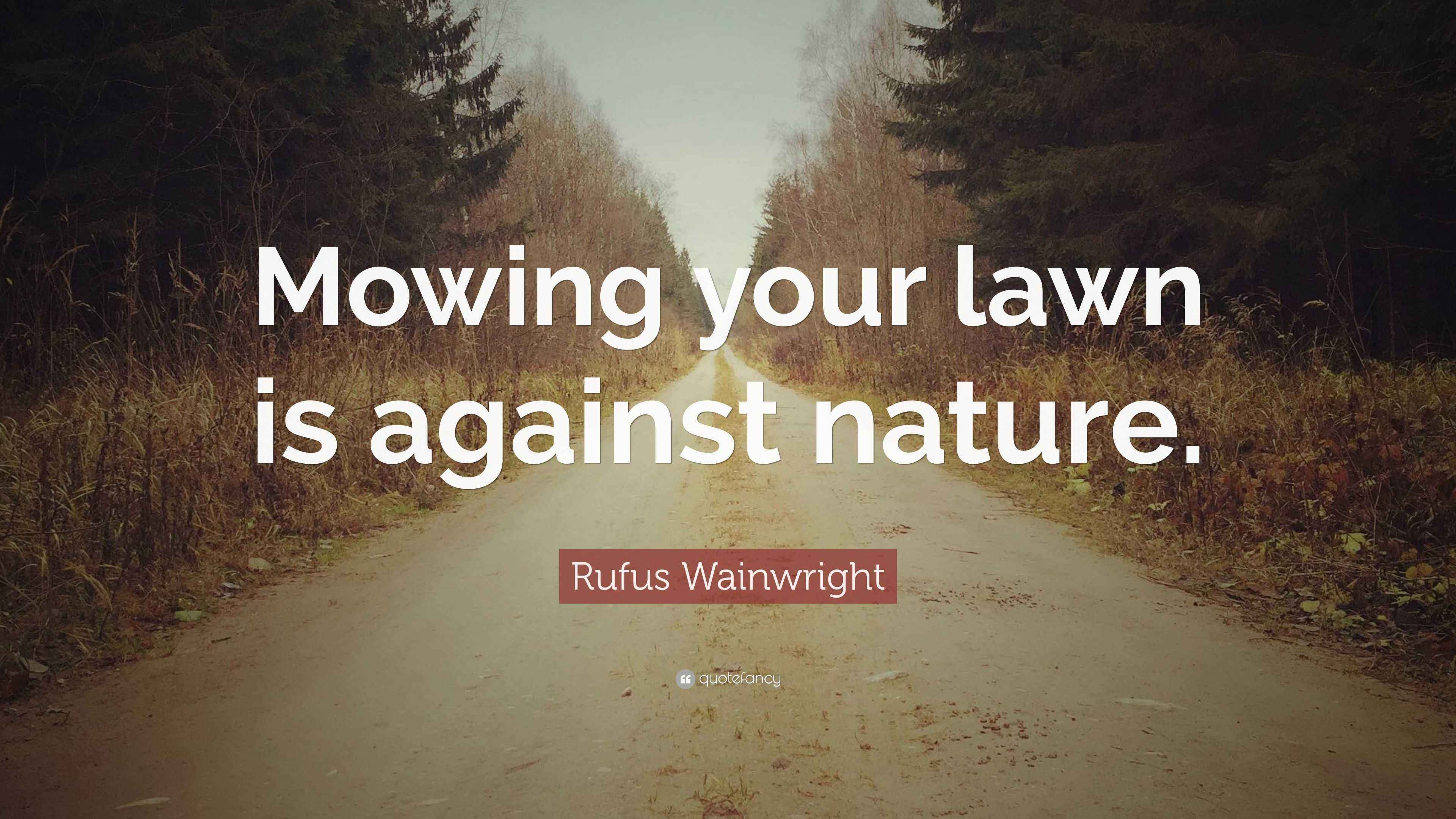 Rufus Wainwright Quote “Mowing your lawn is against nature.”