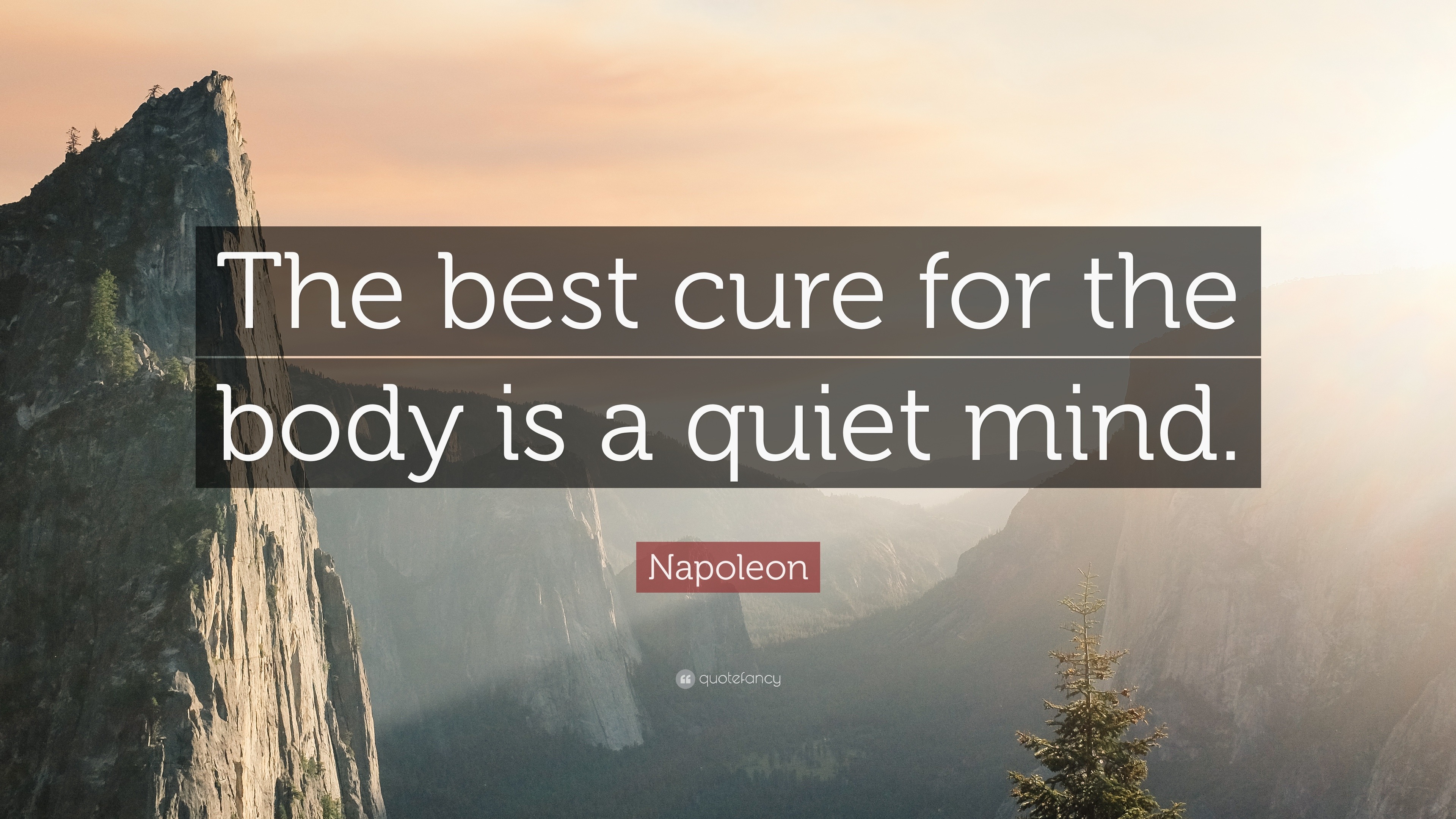 Napoleon Quote: “The best cure for the body is a quiet mind.” (14