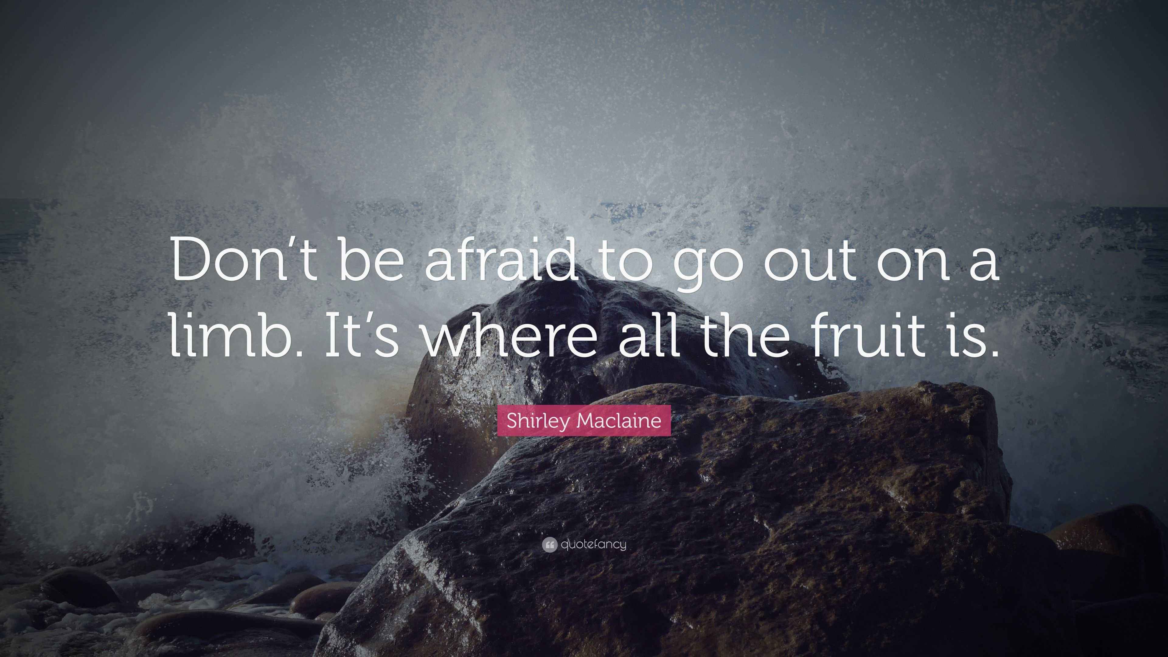 Shirley Maclaine Quote: “Don’t be afraid to go out on a limb. It’s
