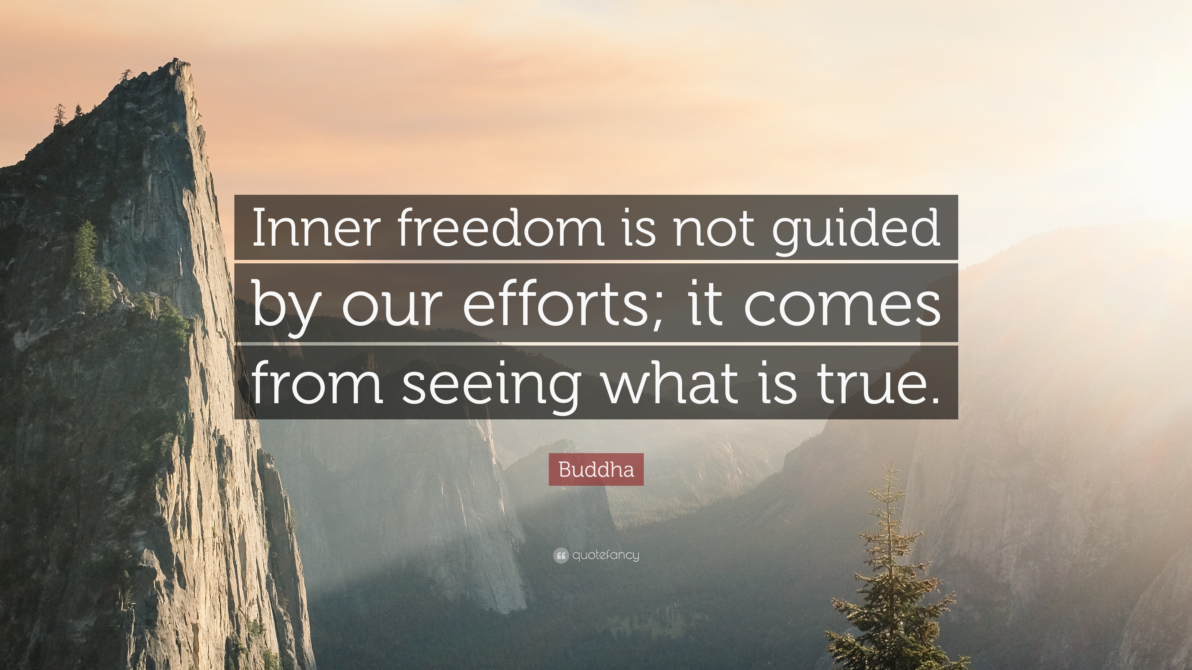 Buddha Quote: “Inner freedom is not guided by our efforts; it comes ...
