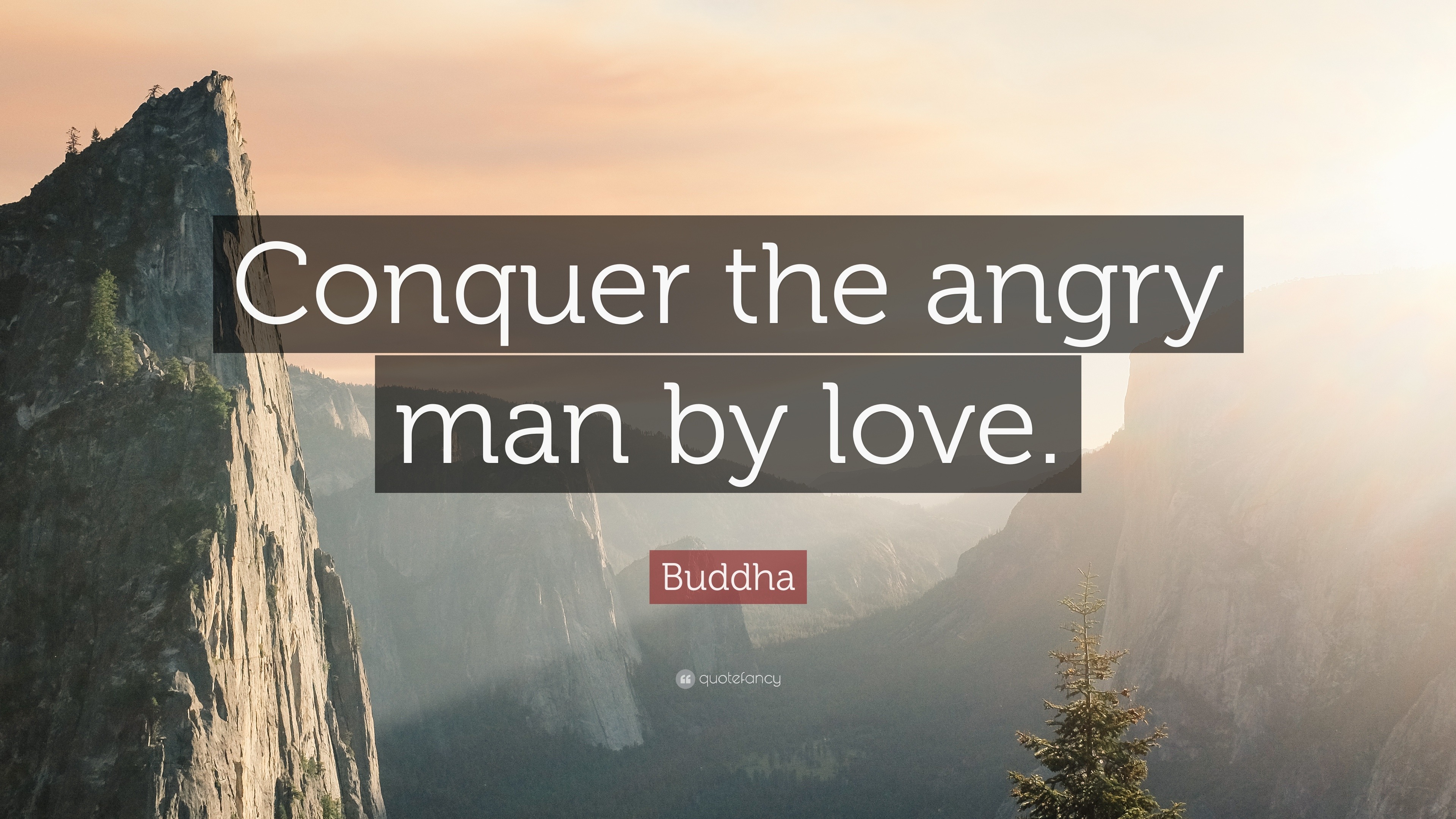 Buddha Quote “Conquer the angry man by love ”