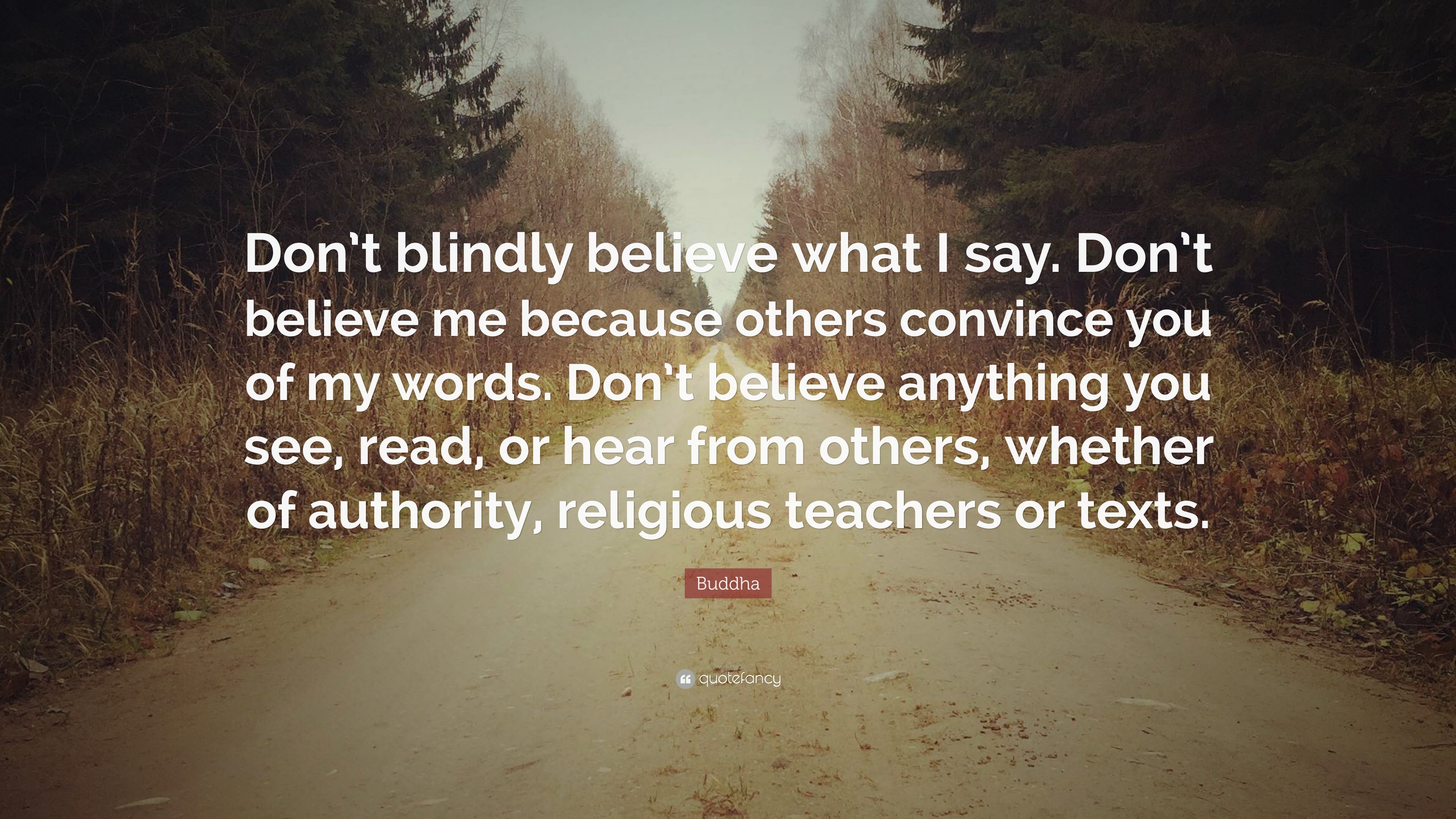 “Don’t blindly believe what I say. Don’t believe me because others convince you of my words. Don’t believe anything you see, read, or hear from others, whether of authority, religious teachers or texts.”