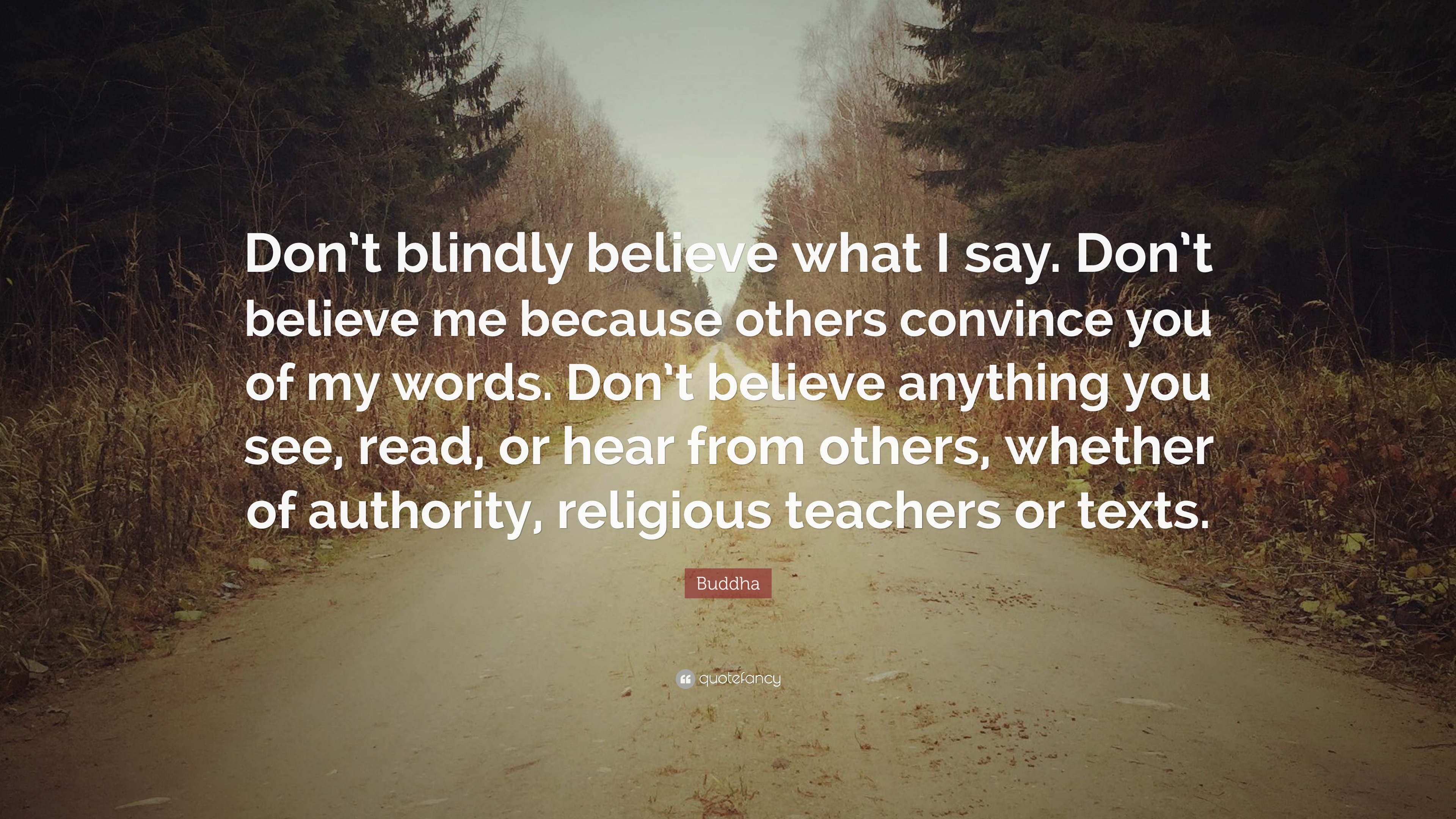 Buddha Quote Don t Blindly Believe What I Say Don t Believe Me 