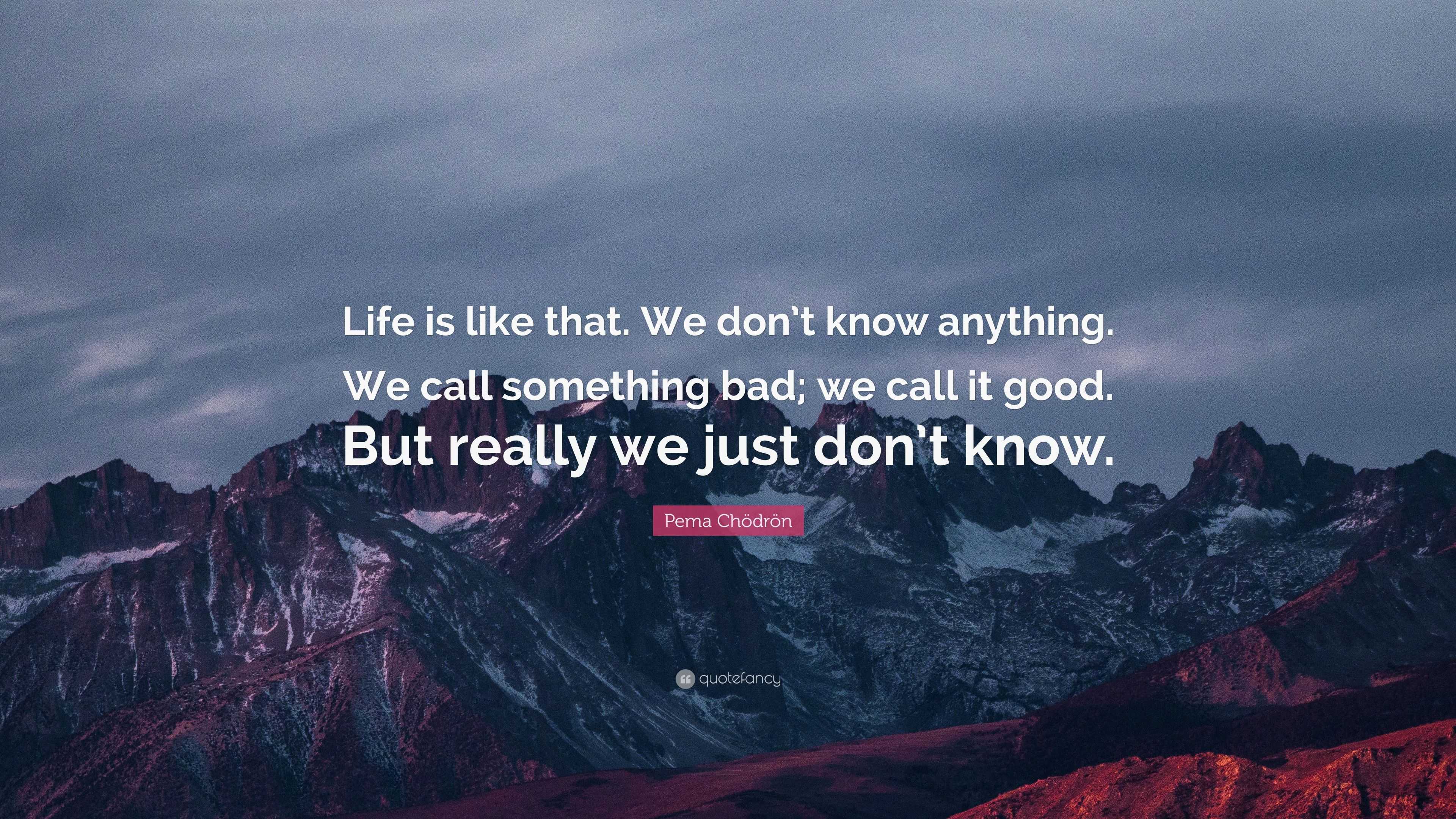 Pema Chödrön Quote: “Life is like that. We don’t know anything. We call ...